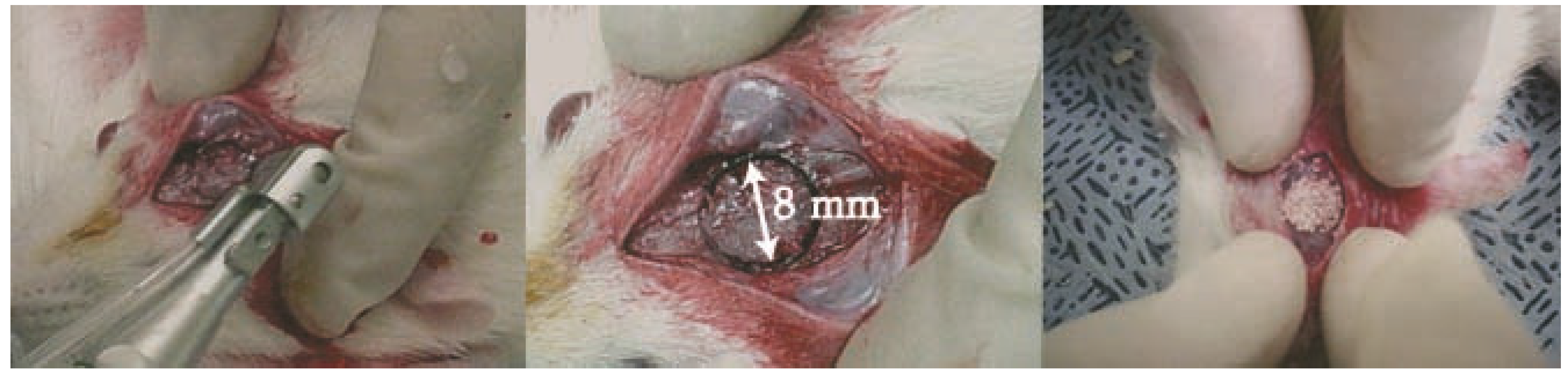 Materials 09 00097 g004