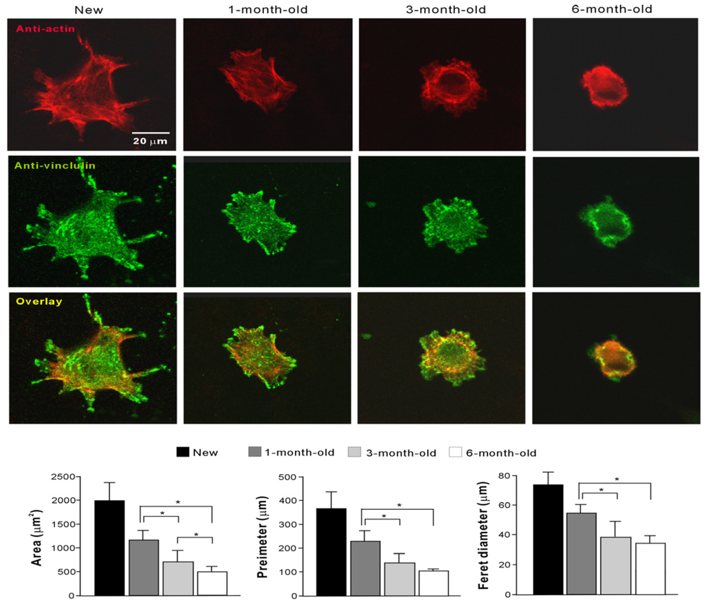 Materials 09 00102 g004 1024