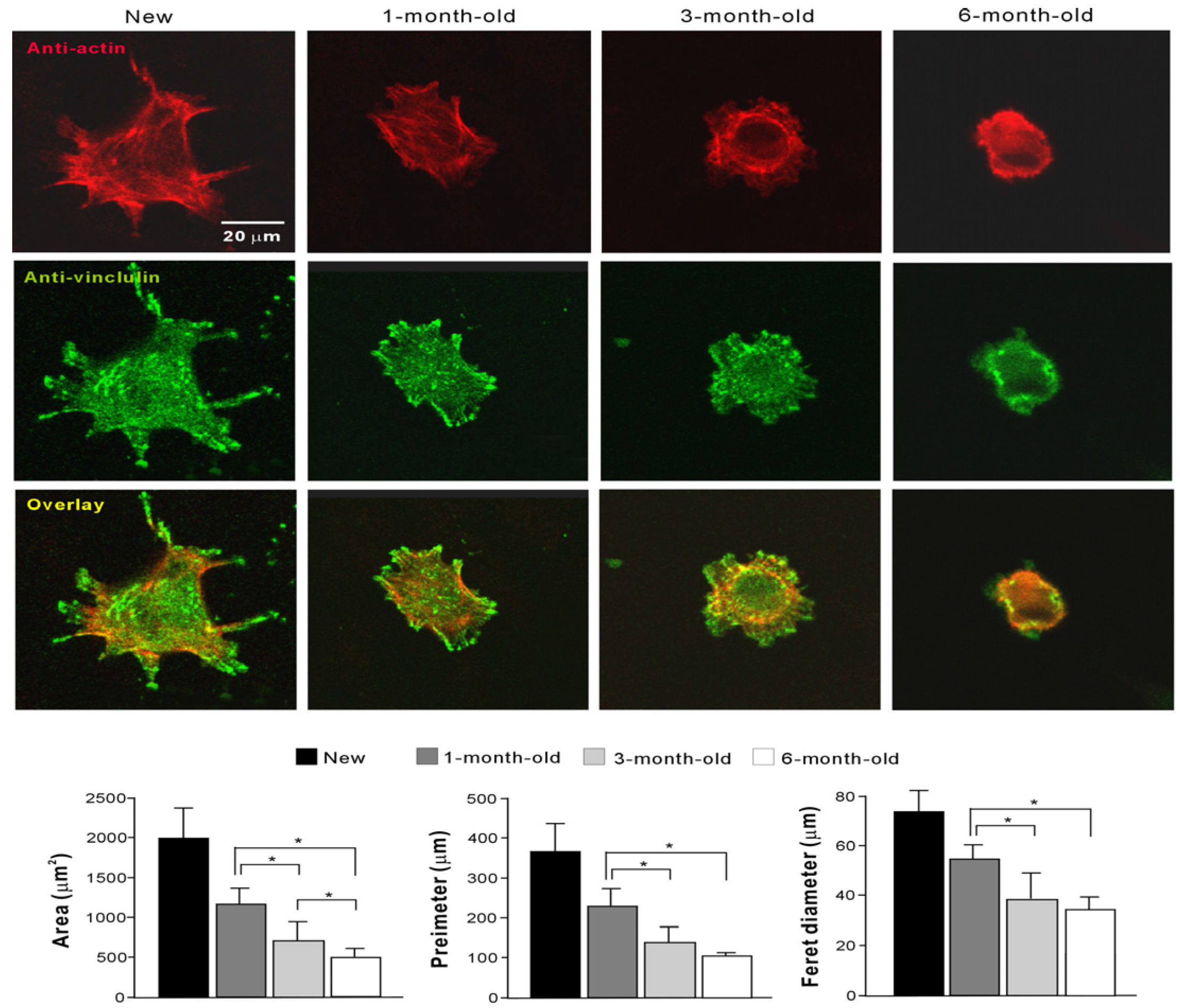 Materials 09 00102 g004