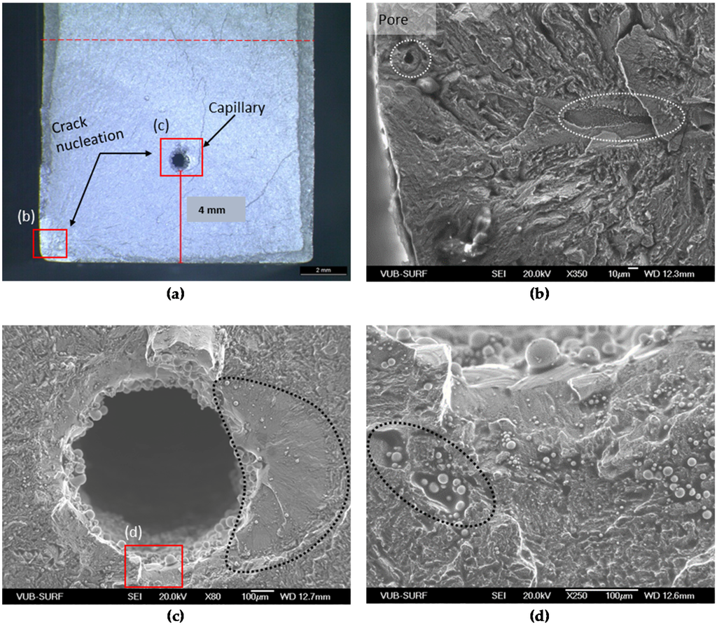 Materials 09 00106 g006 1024