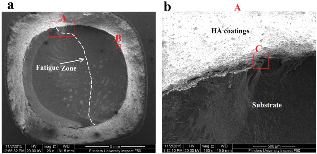 Materials 09 00111 g009a 1024