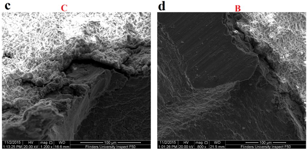 Materials 09 00111 g009b 1024