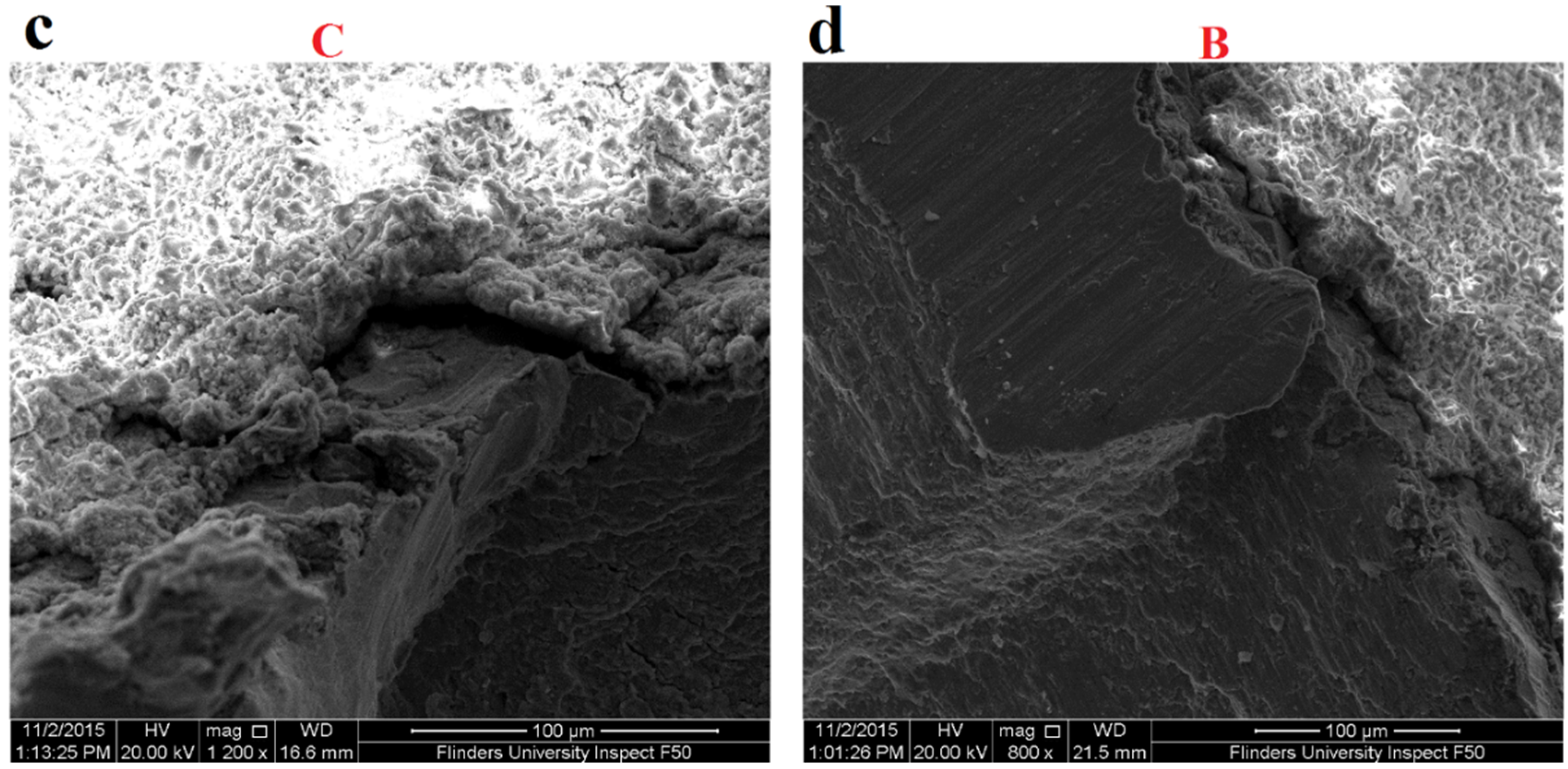 Materials 09 00111 g009b