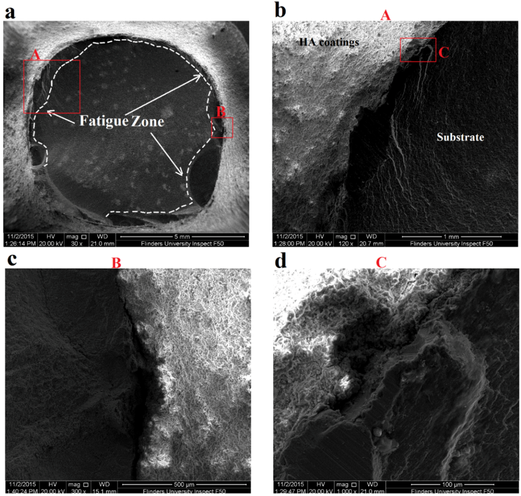 Materials 09 00111 g010 1024