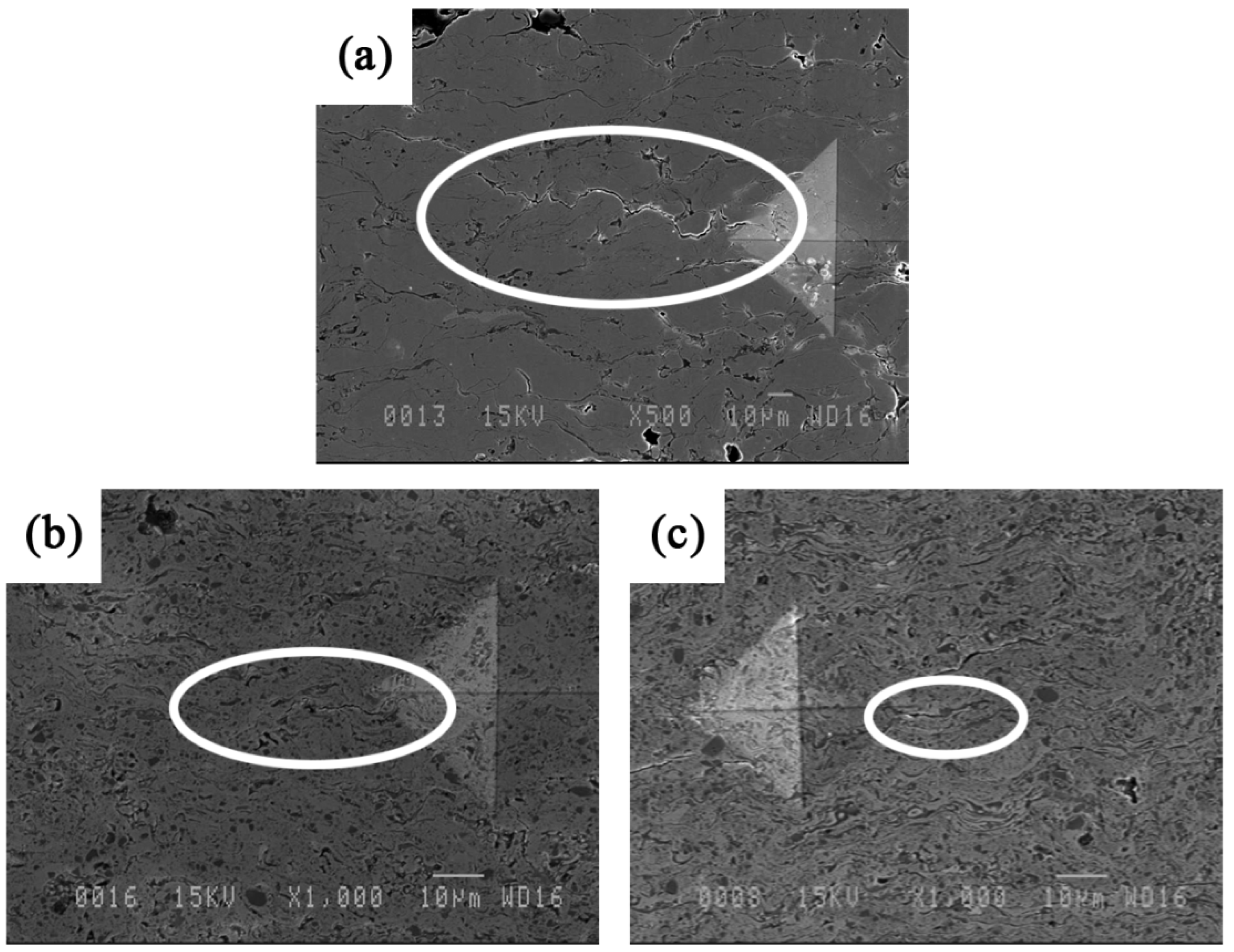 Materials 09 00117 g006