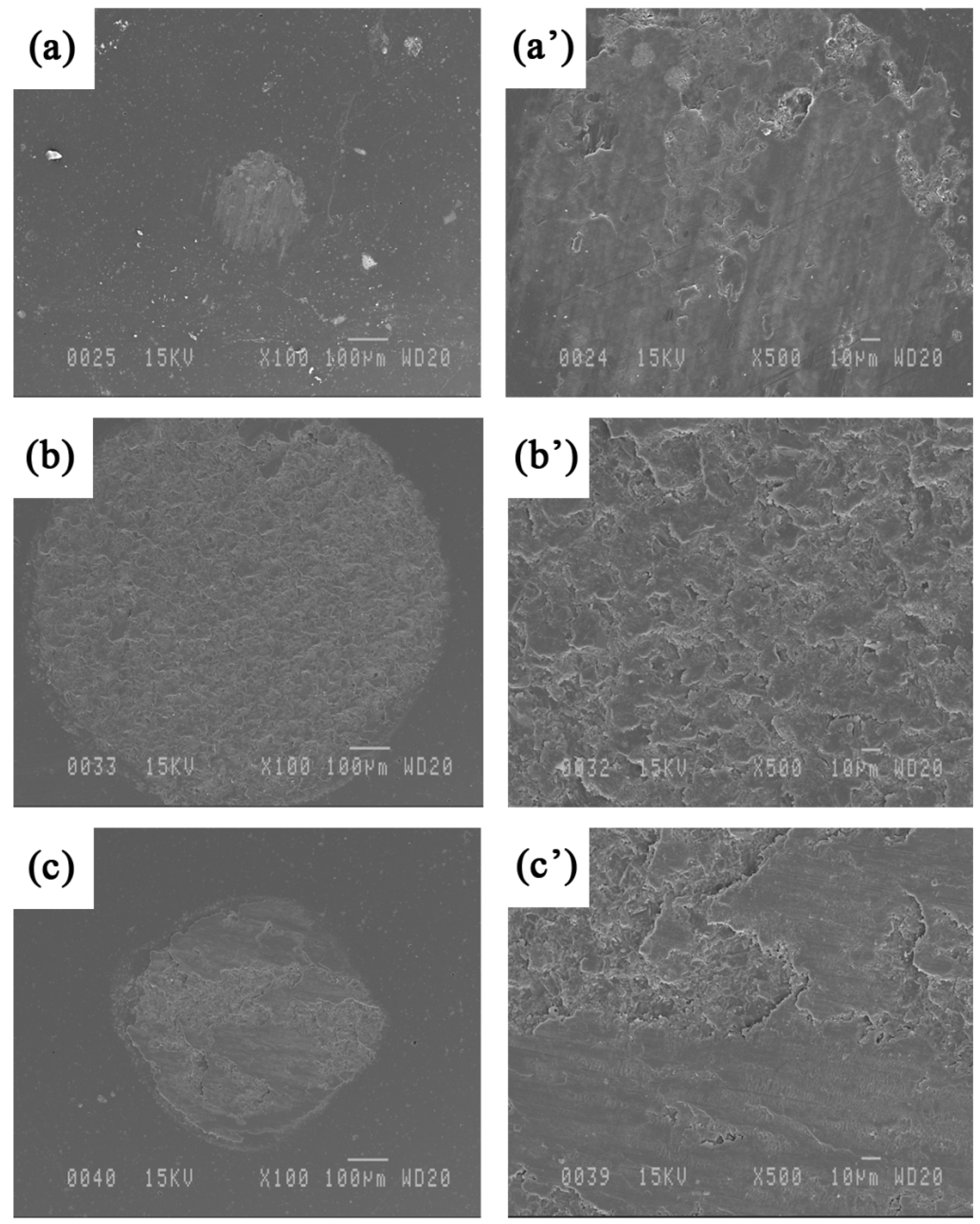 Materials 09 00117 g015