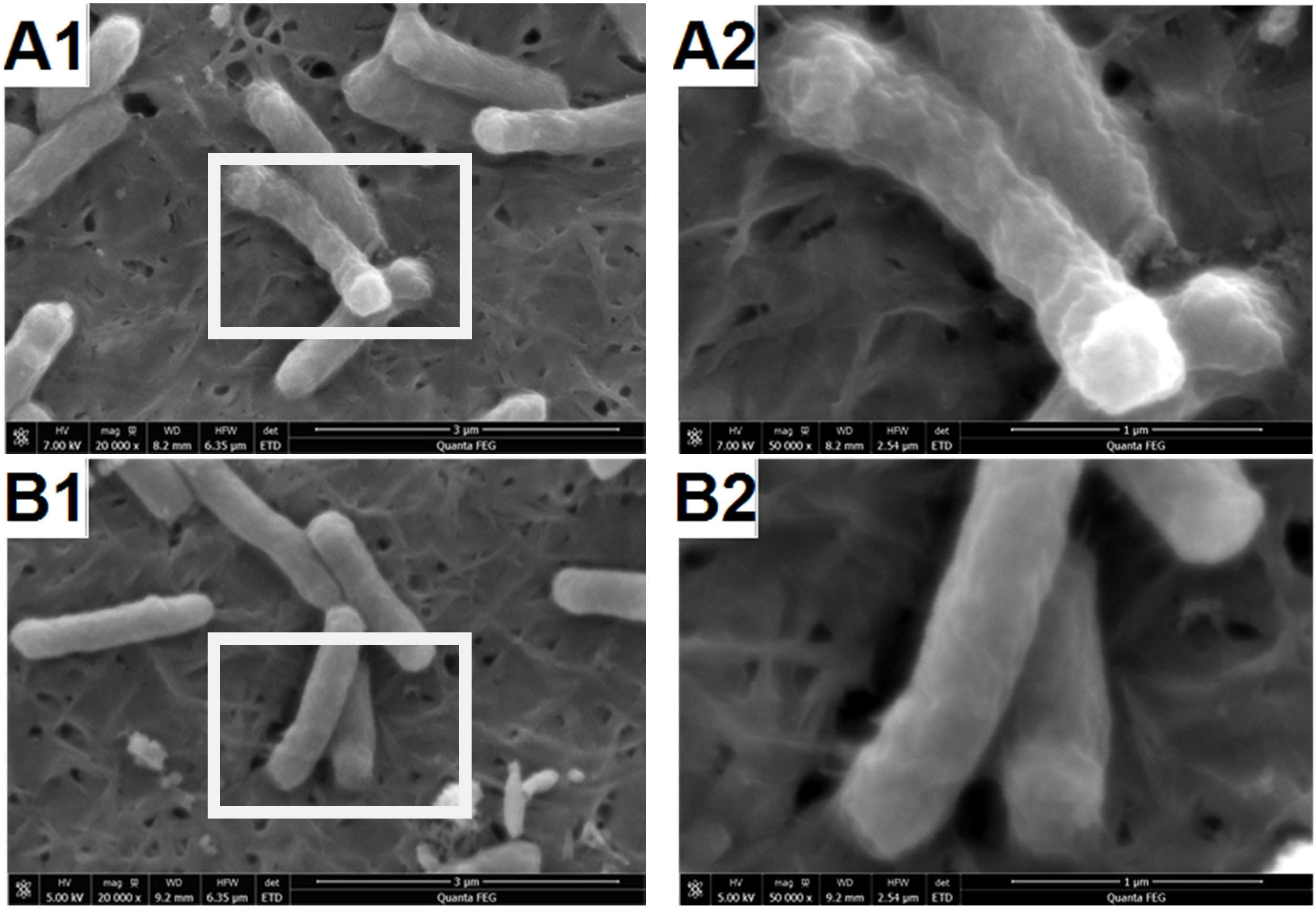 Materials 09 00129 g004