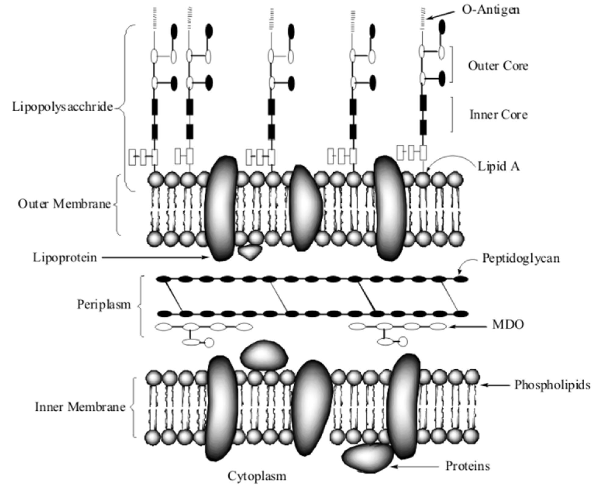 Materials 09 00129 g005