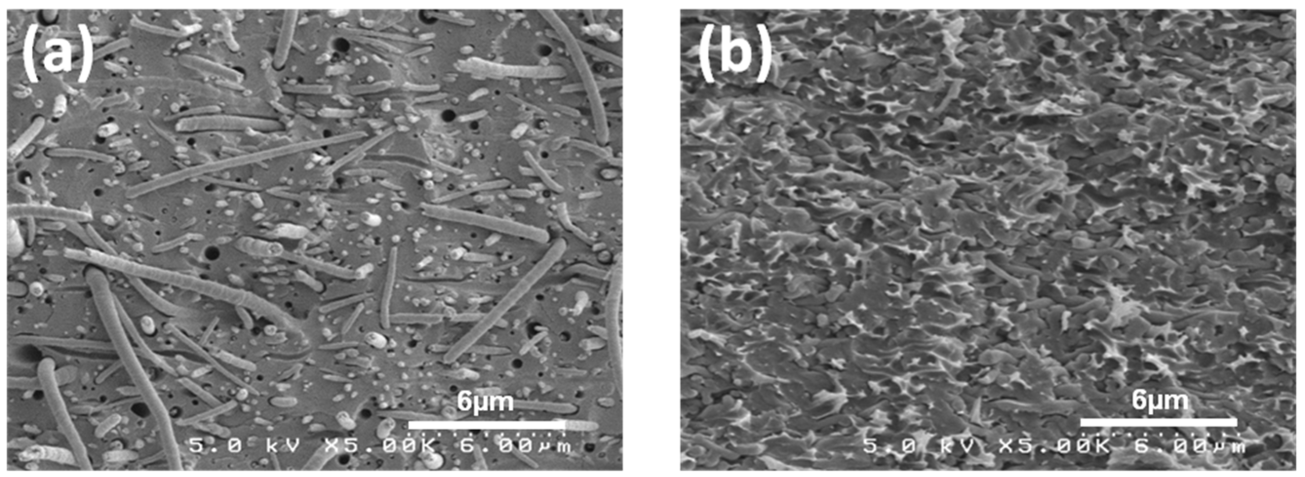 Materials 09 00143 g009