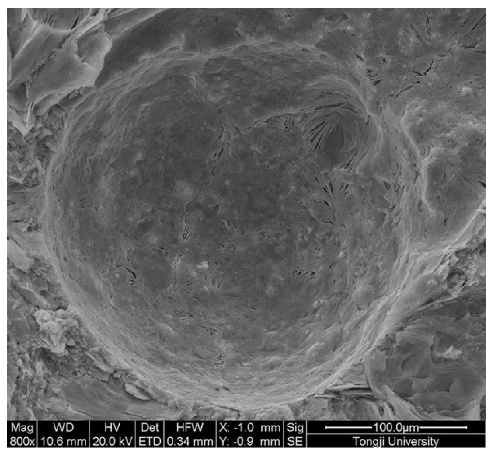 Materials 09 00152 g007