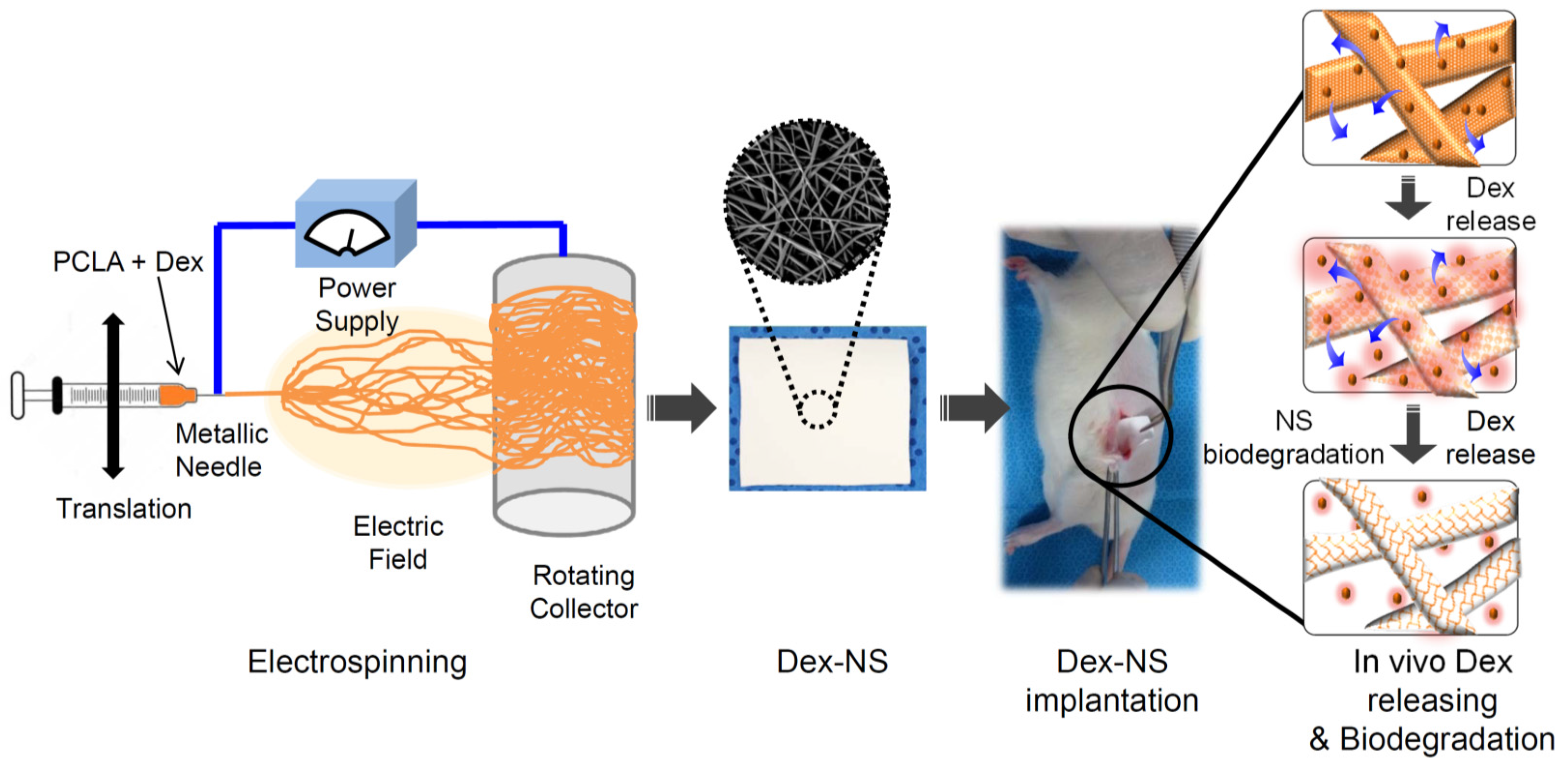 Materials 09 00175 g001