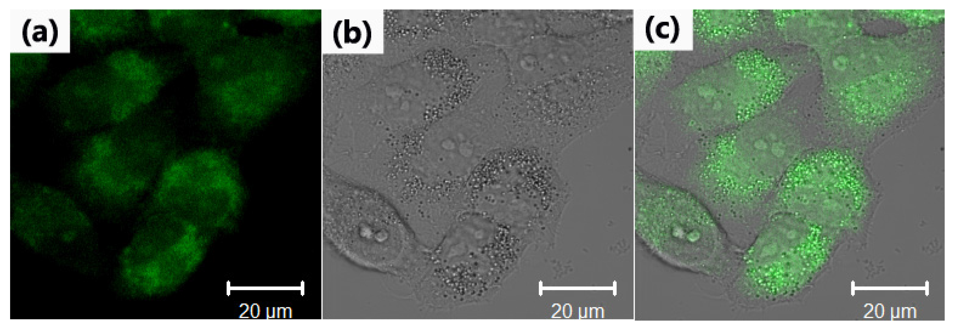 Materials 09 00184 g007