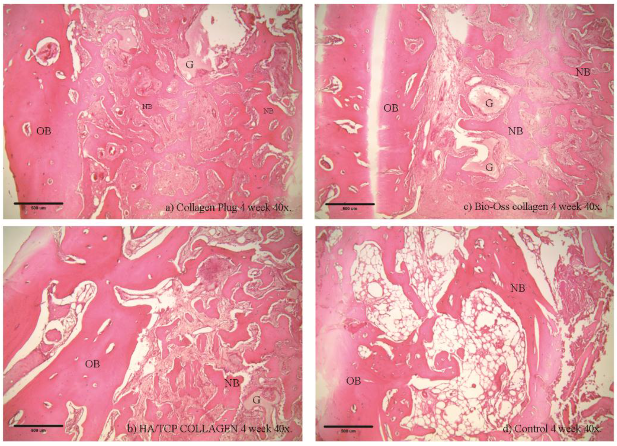 Materials 09 00191 g005