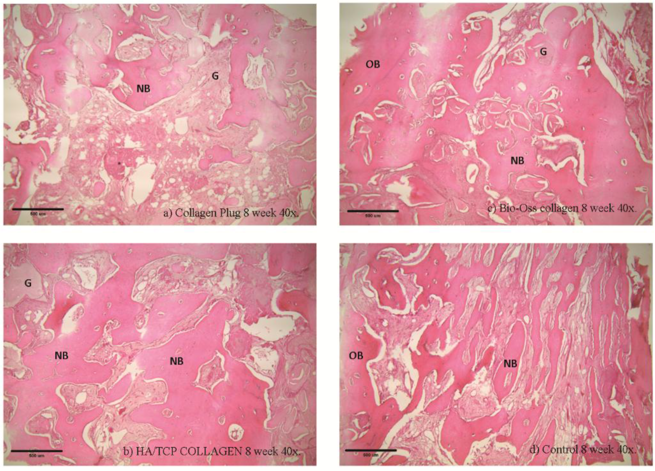 Materials 09 00191 g007
