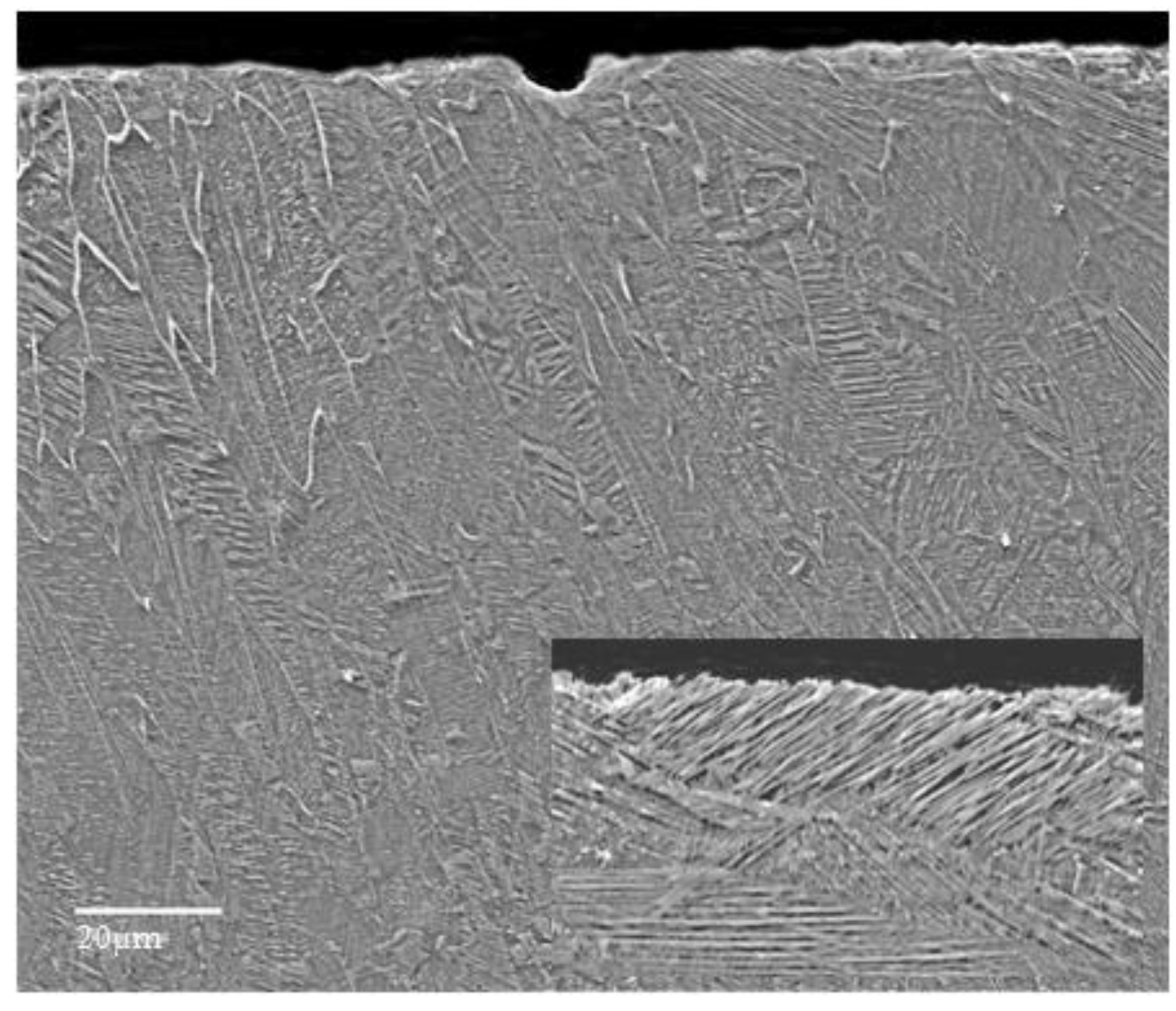 Materials 09 00204 g010