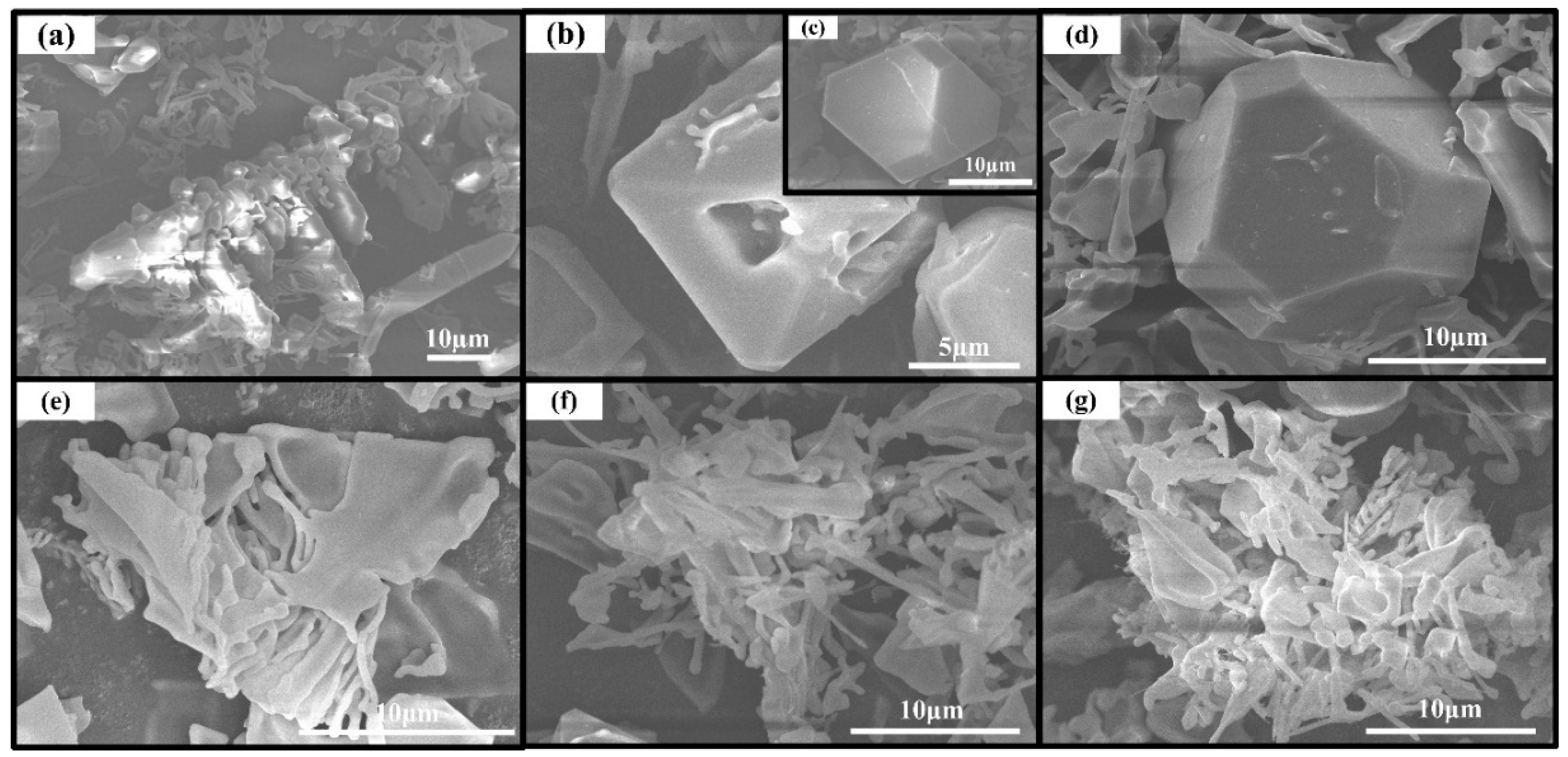 Materials 09 00243 g007