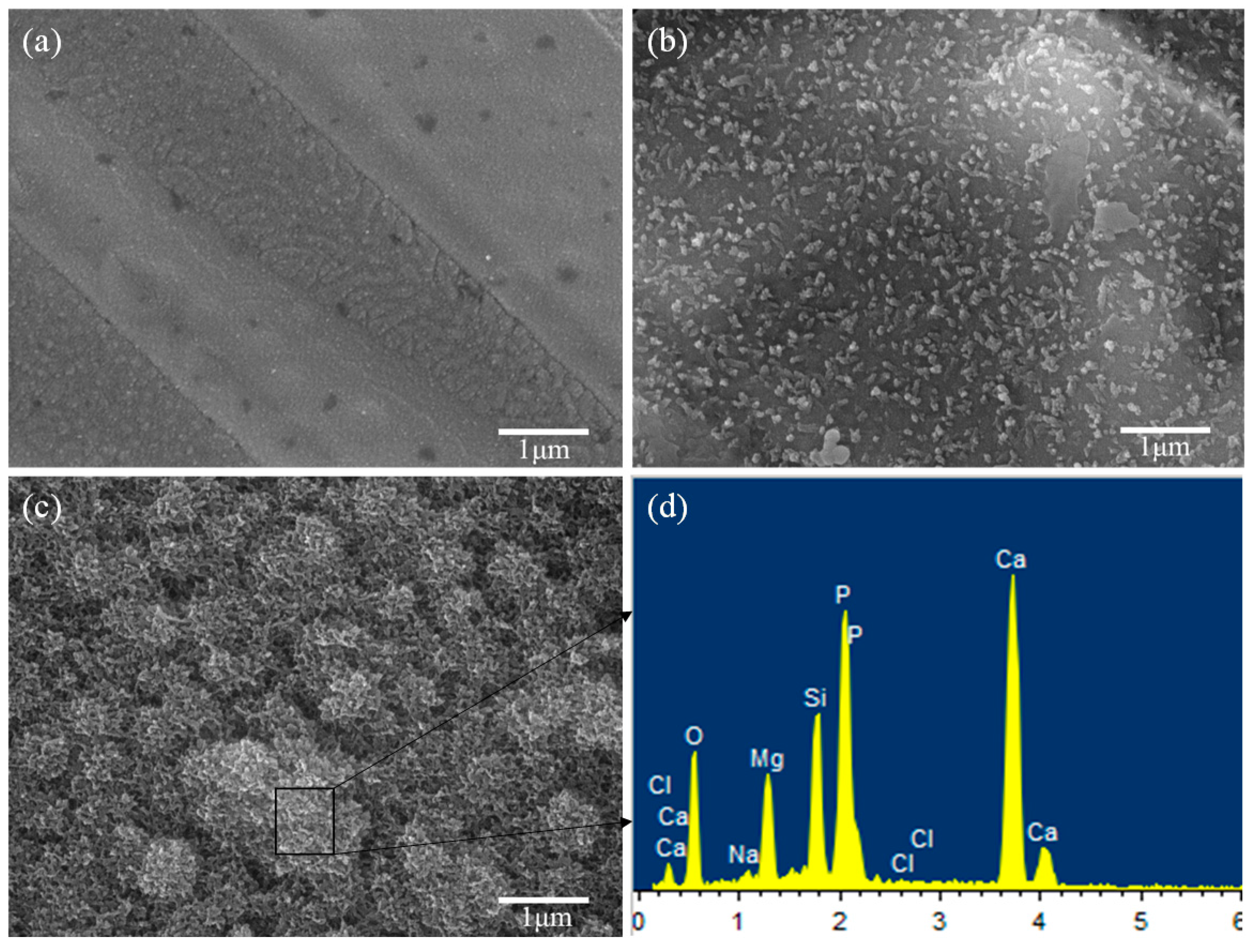 Materials 09 00287 g007