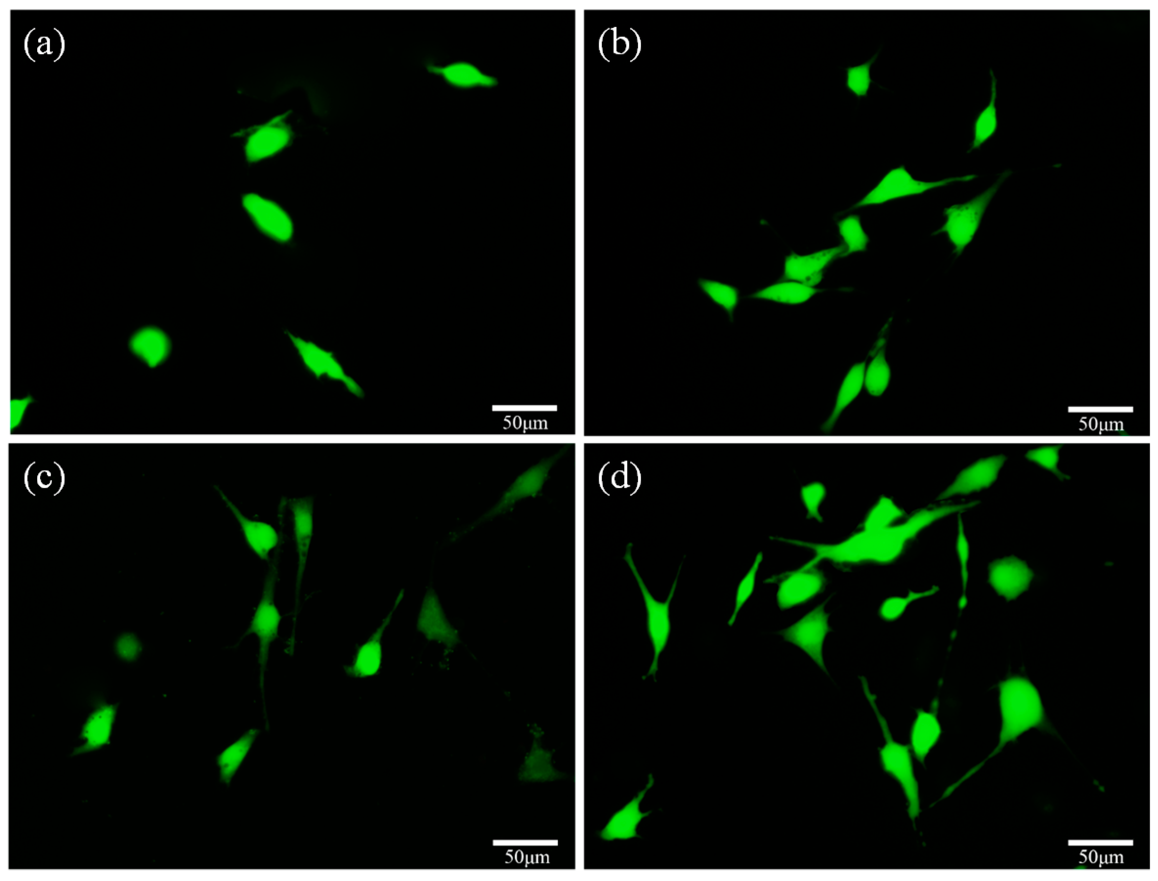 Materials 09 00287 g011