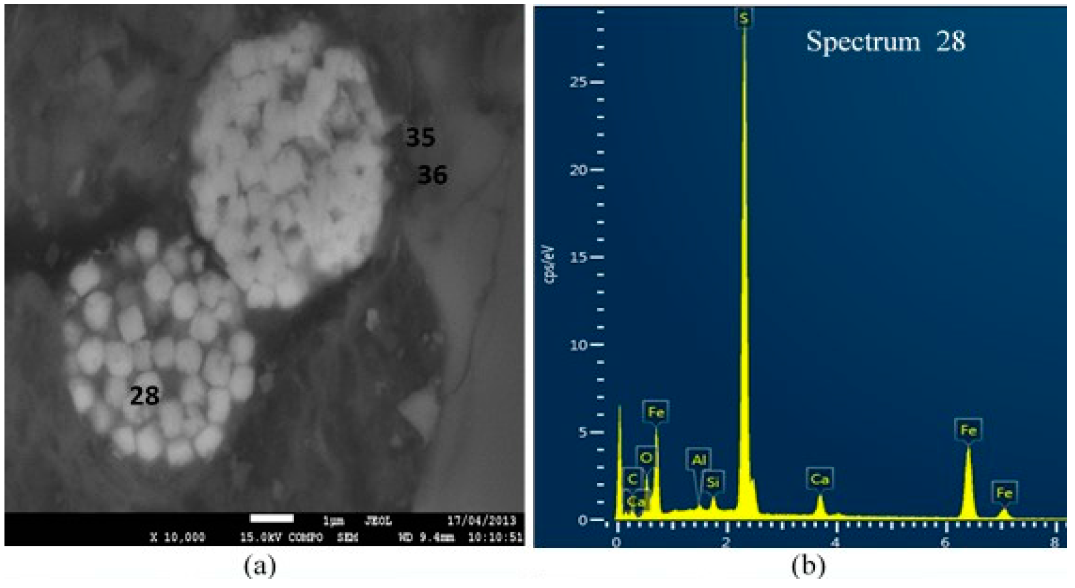 Materials 09 00289 g006a