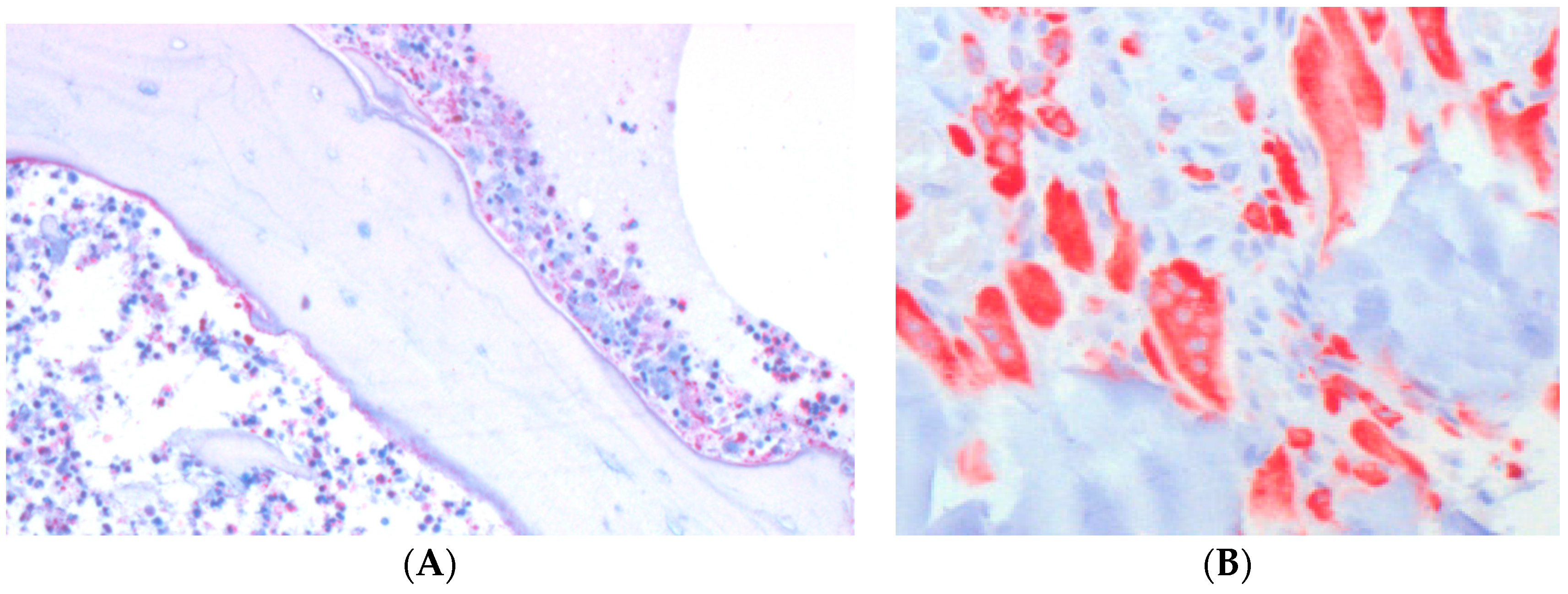 Materials 09 00387 g001