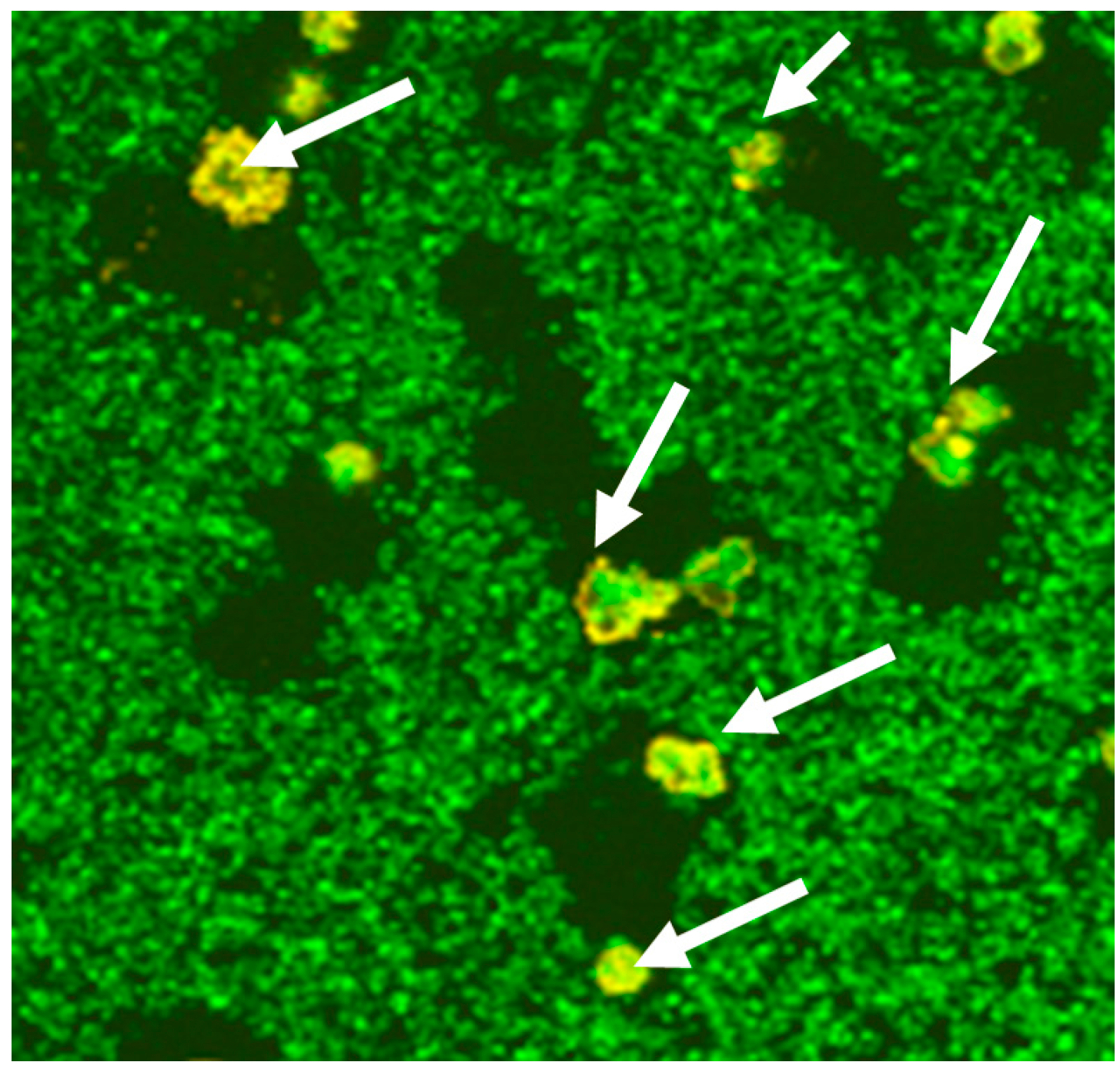 Materials 09 00387 g002