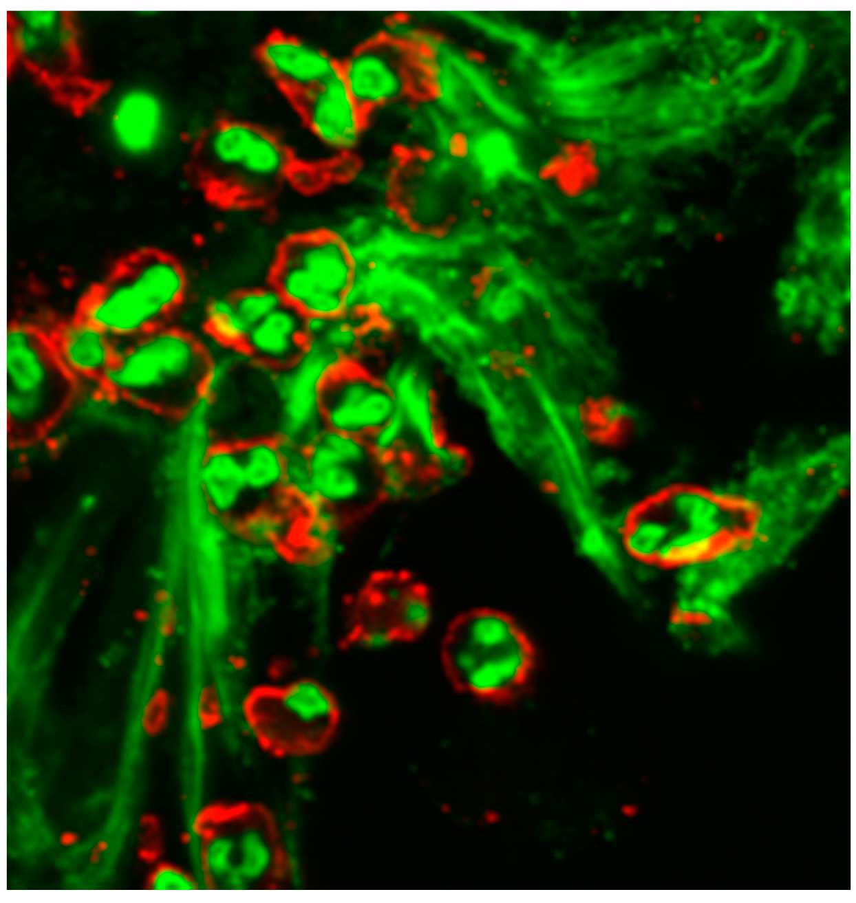 Materials 09 00387 g004