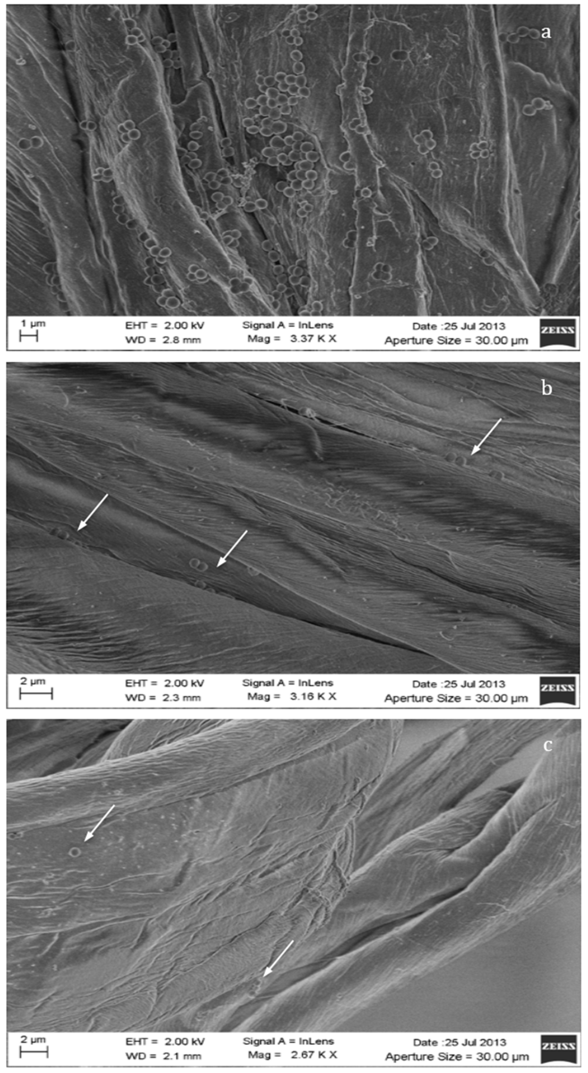 Materials 09 00411 g006