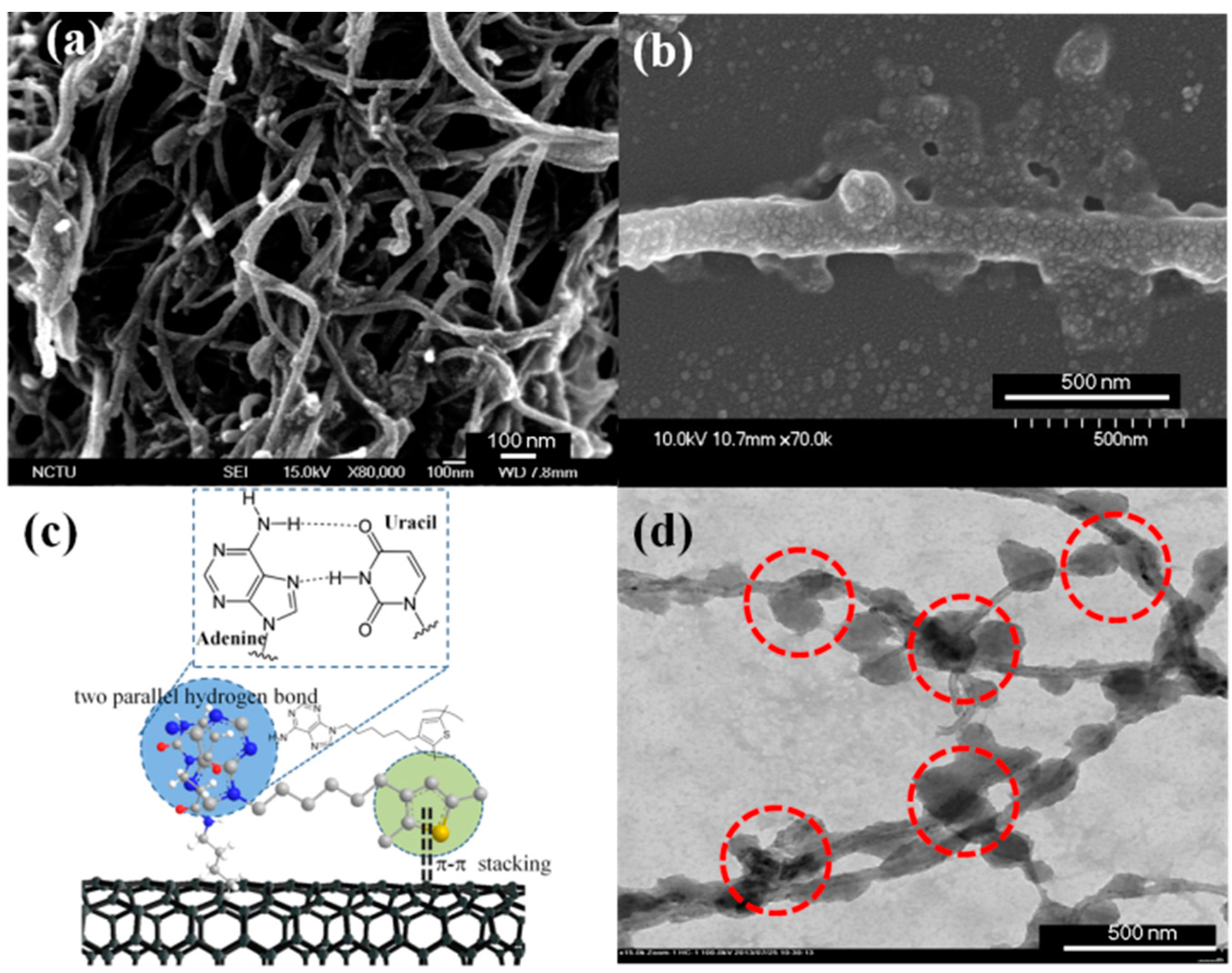 Materials 09 00438 g007