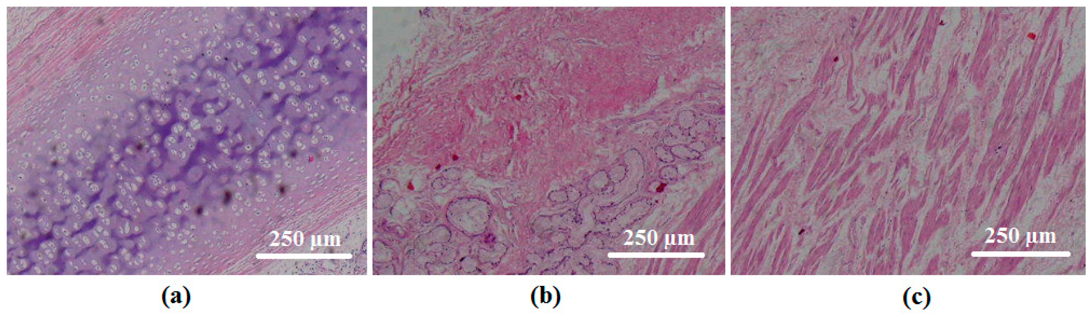 Materials 09 00456 g005