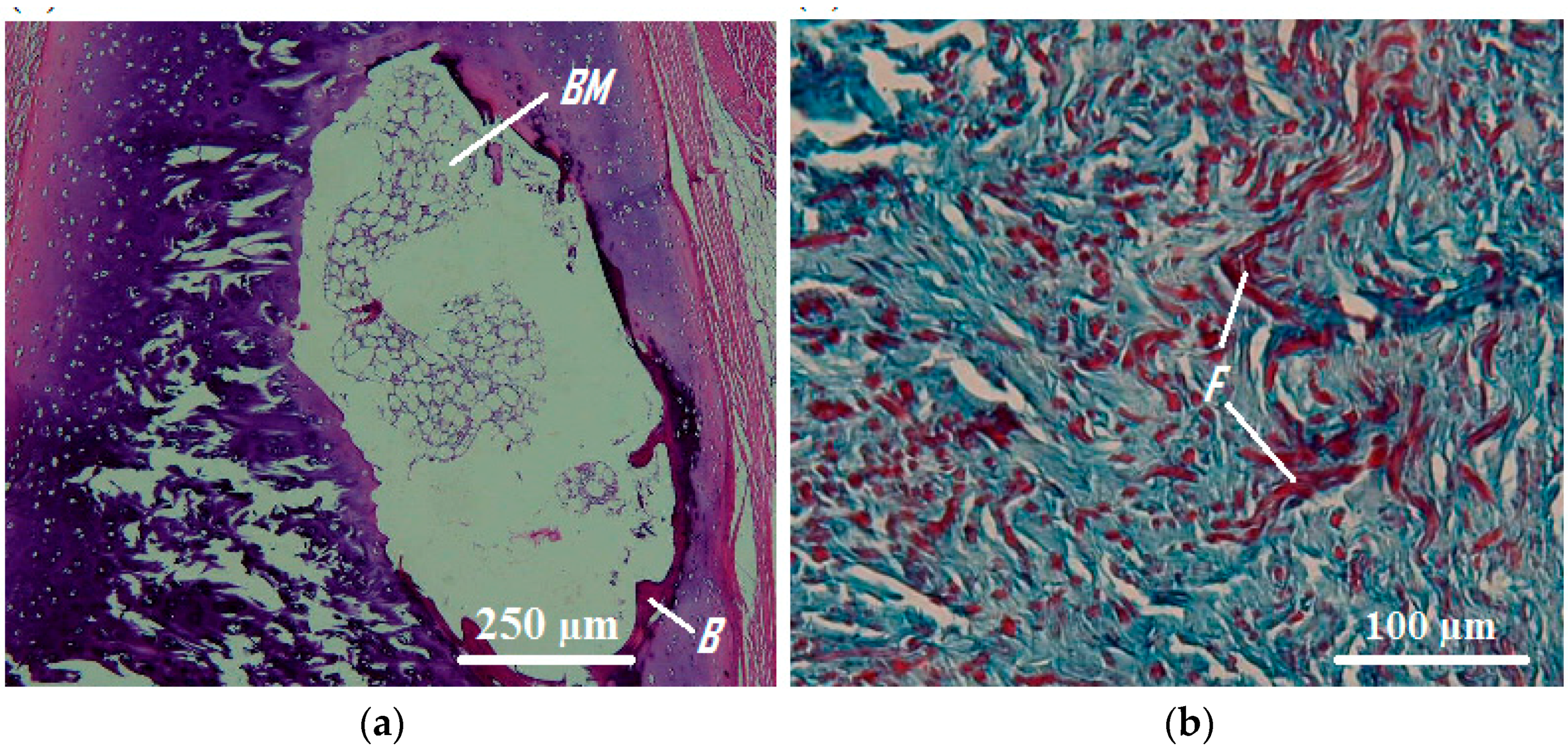 Materials 09 00456 g006