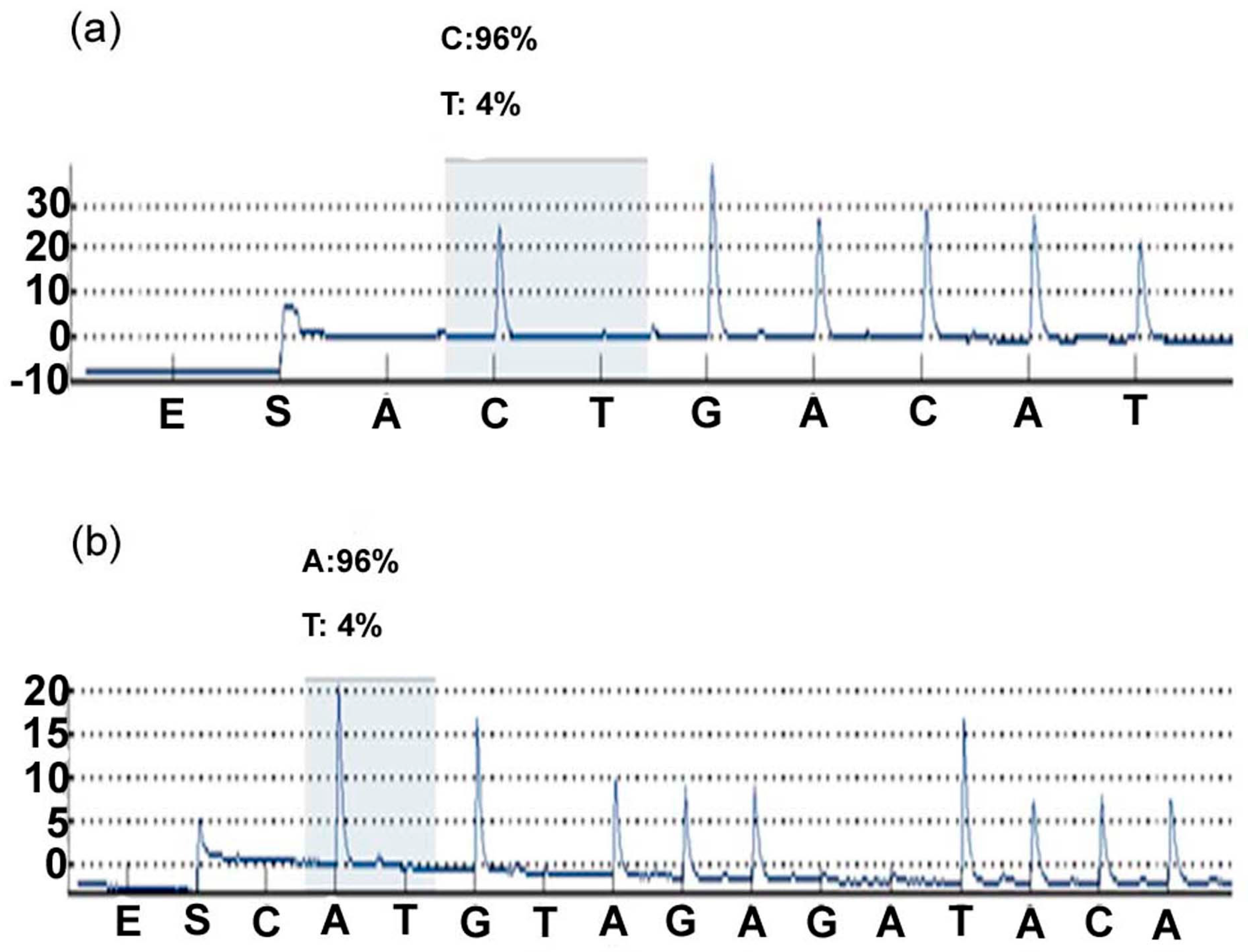 Materials 09 00464 g001