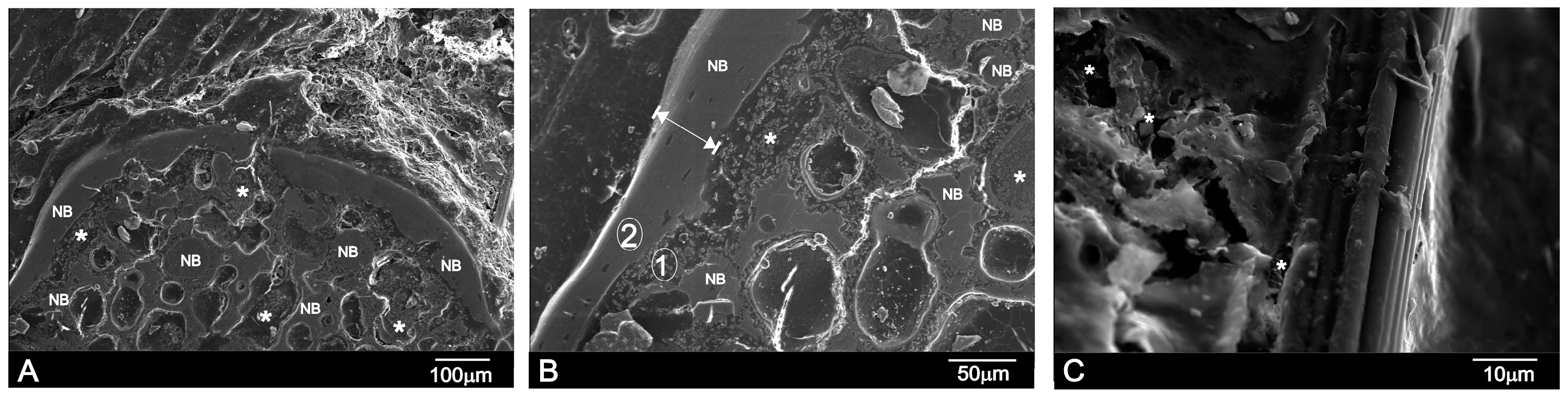 Materials 09 00474 g006