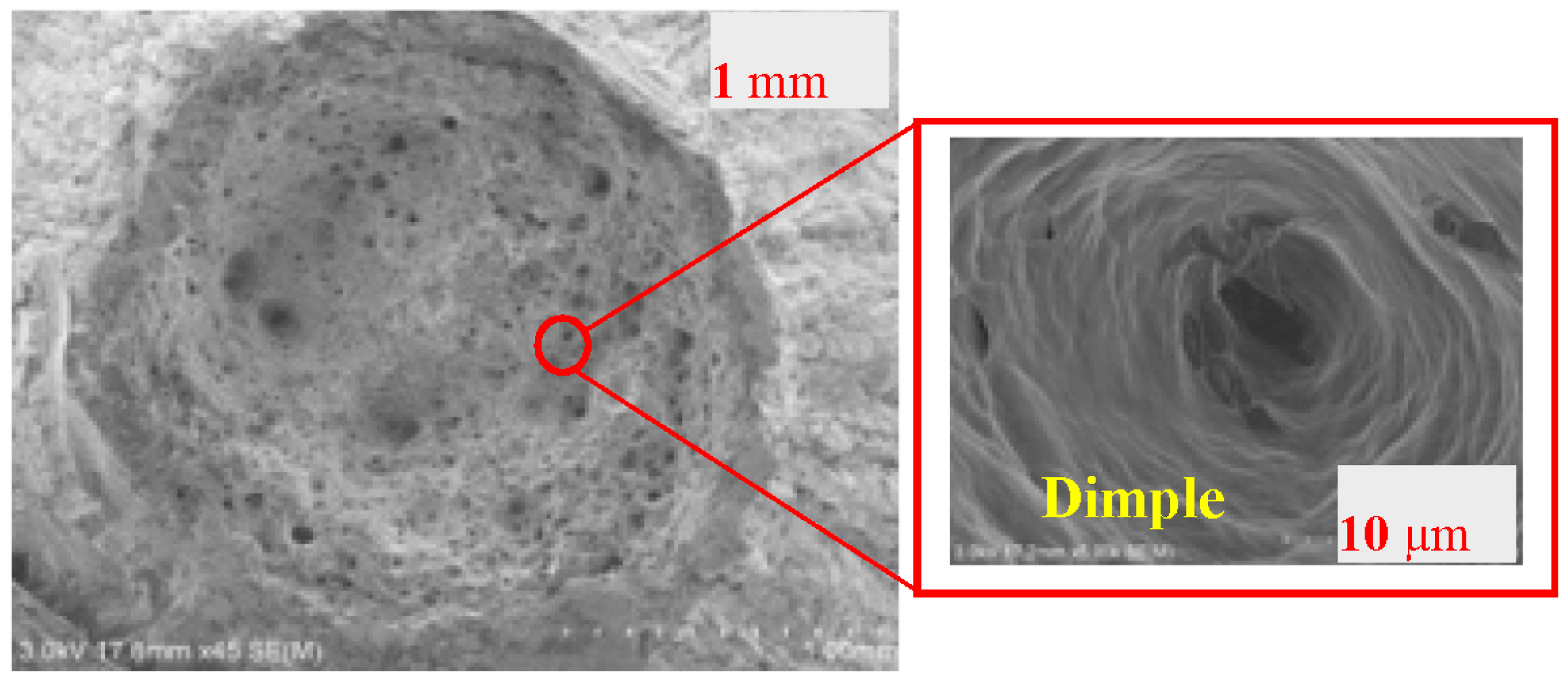 Materials 09 00496 g005