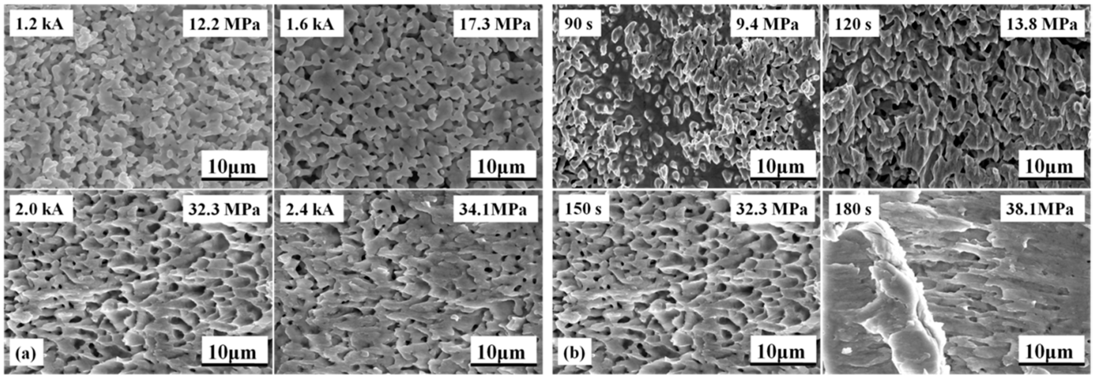 Materials 09 00564 g010