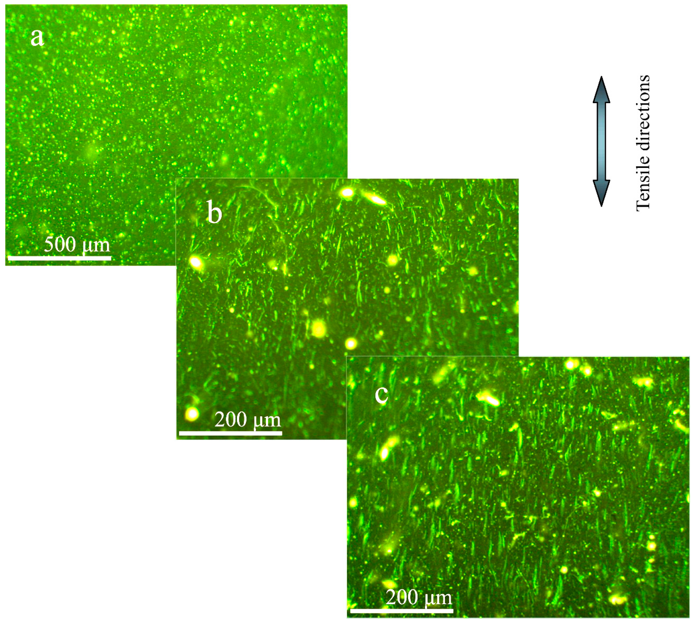 Materials 09 00600 g011