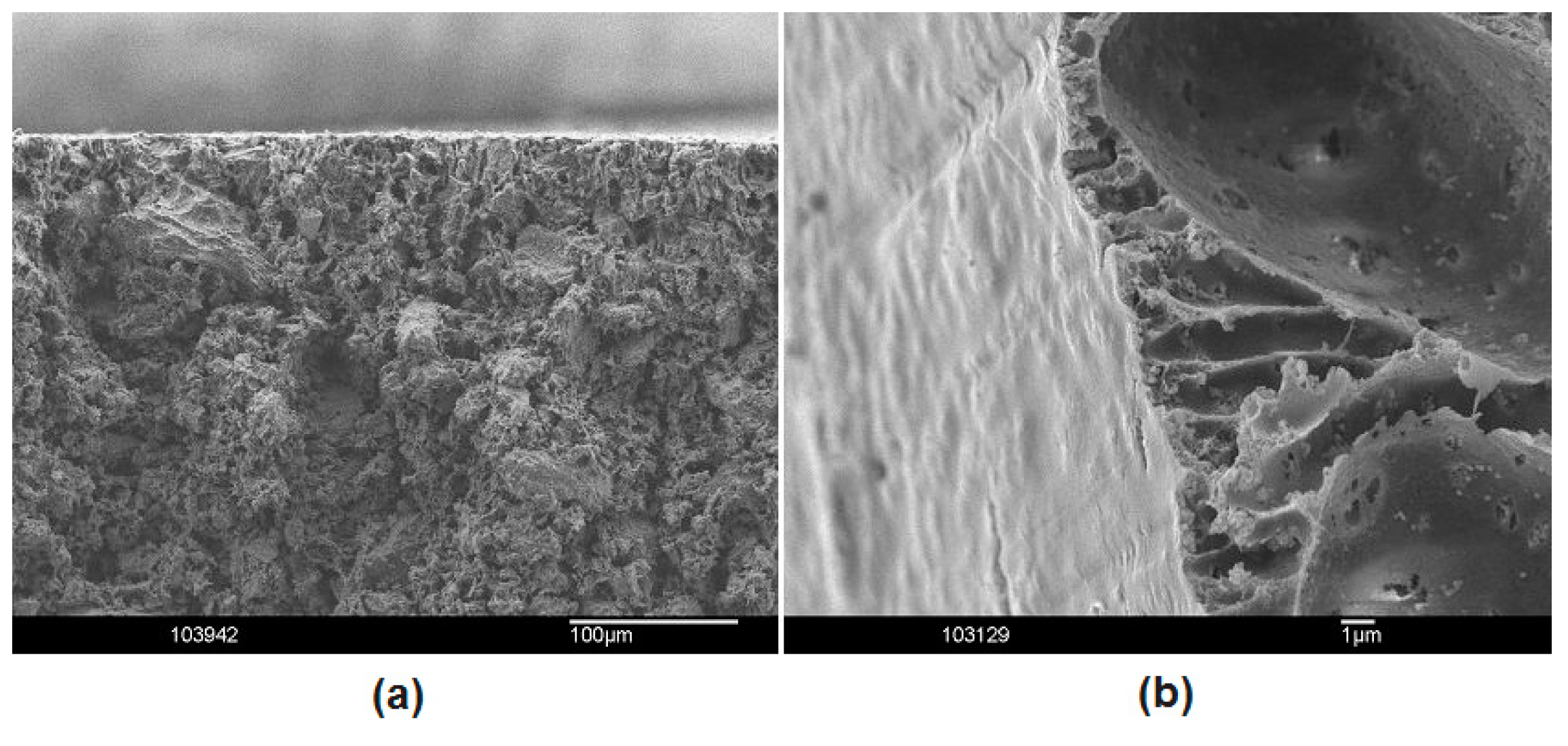 Materials 09 00601 g001