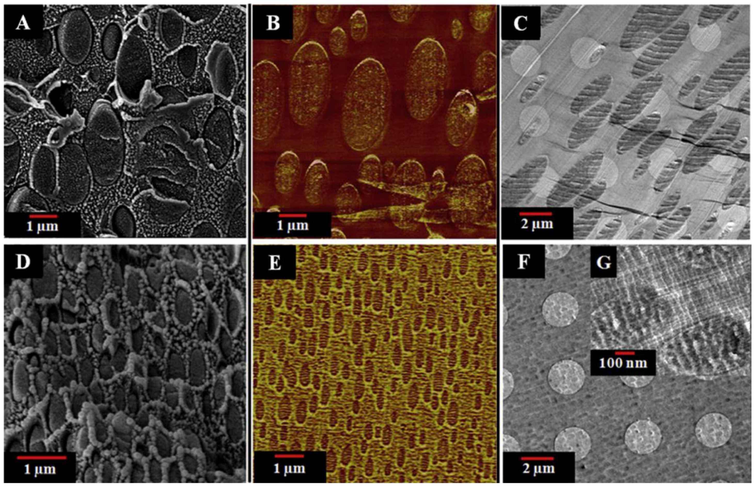 Materials 09 00643 g007