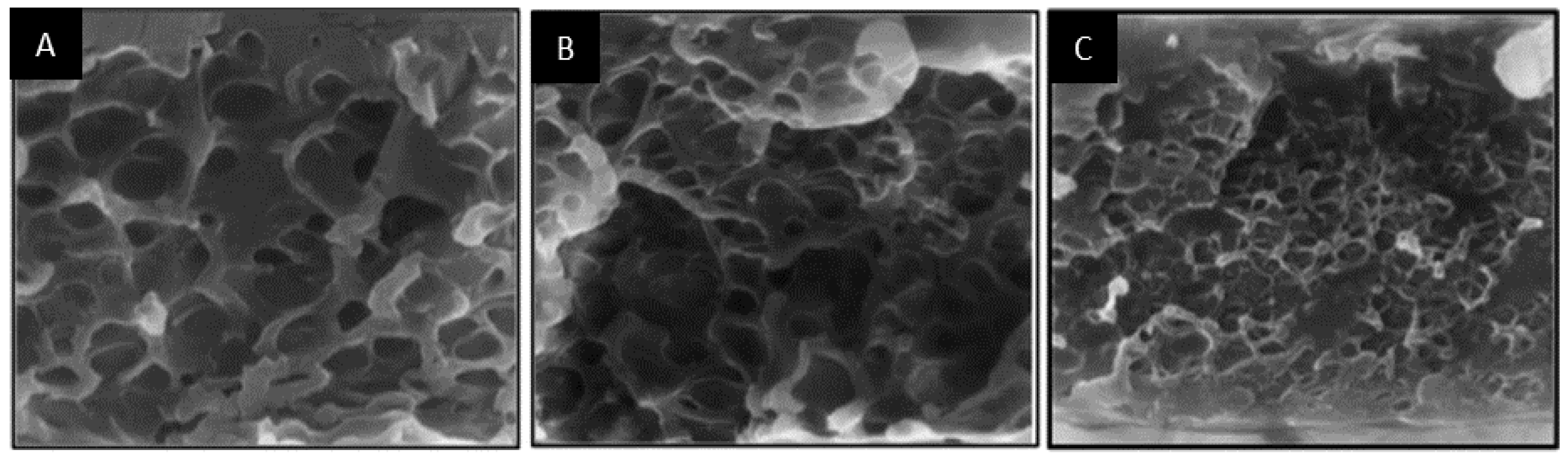 Materials 09 00643 g010