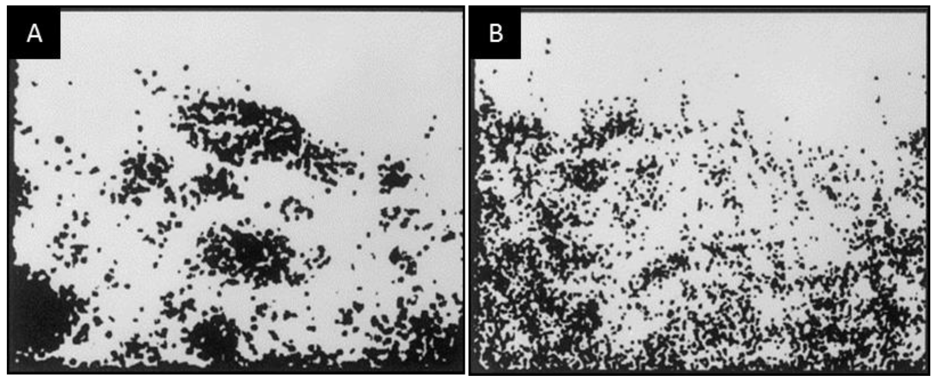 Materials 09 00643 g011