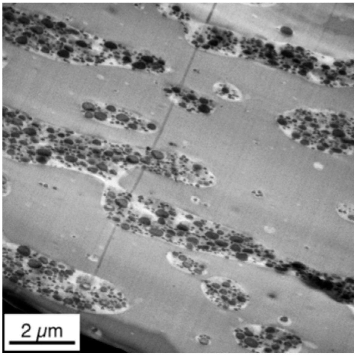 Materials 09 00659 g007