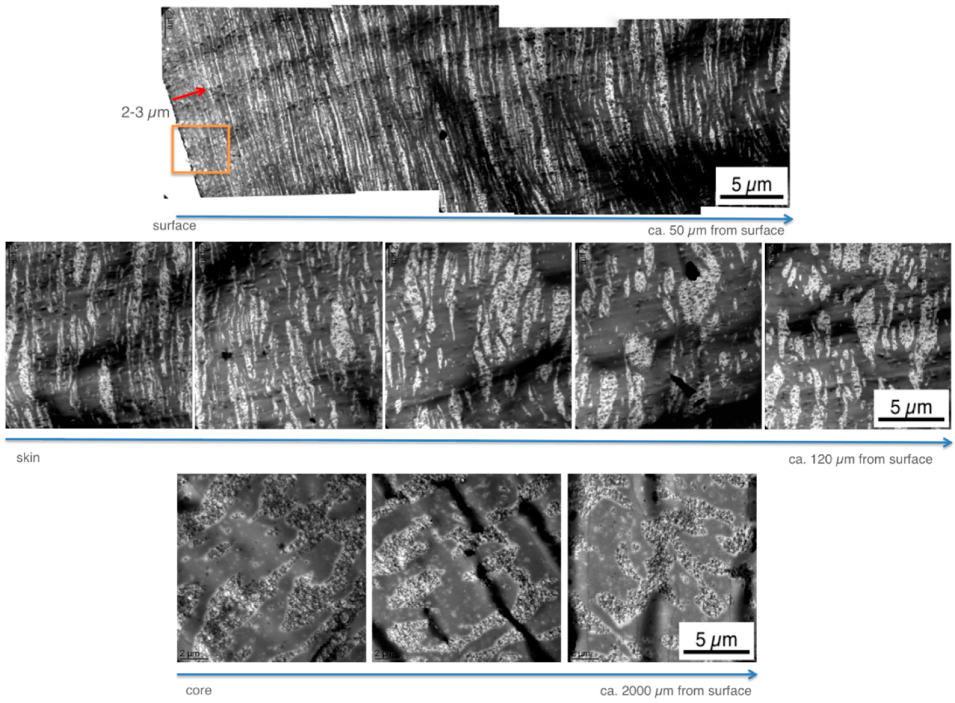 Materials 09 00659 g008