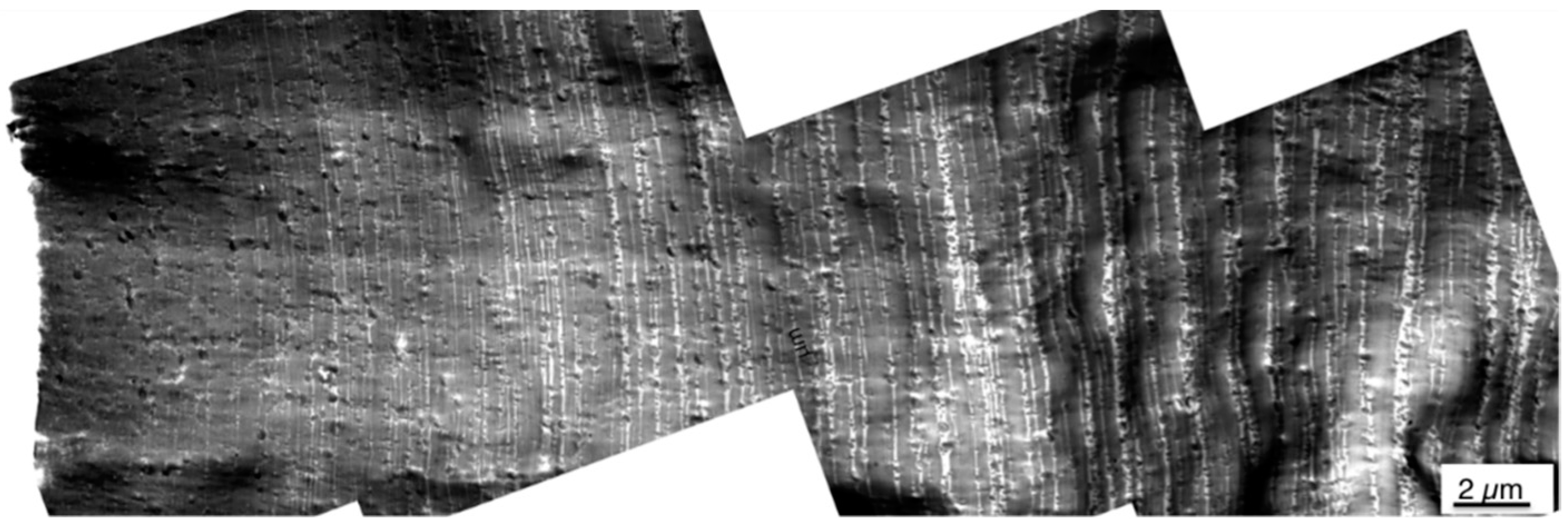 Materials 09 00659 g009