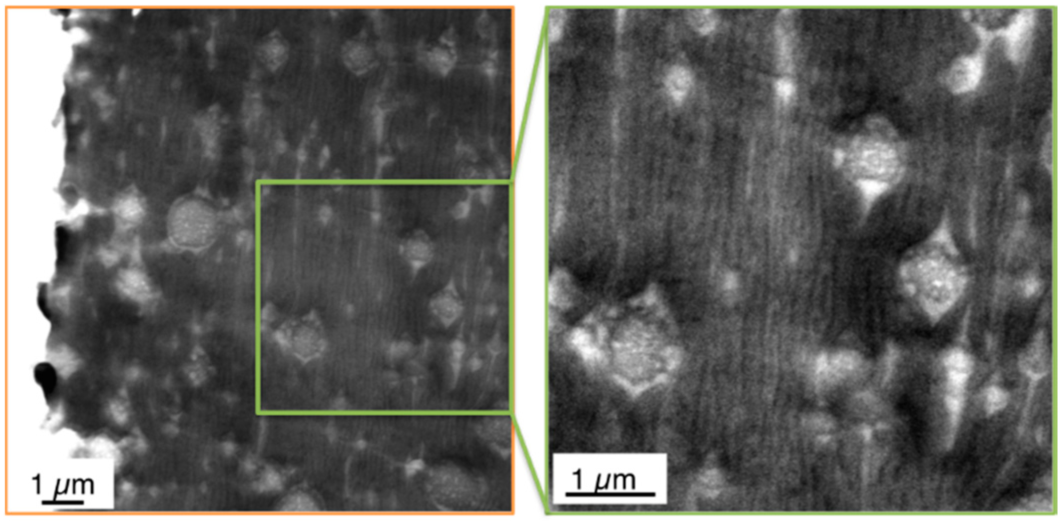 Materials 09 00659 g011