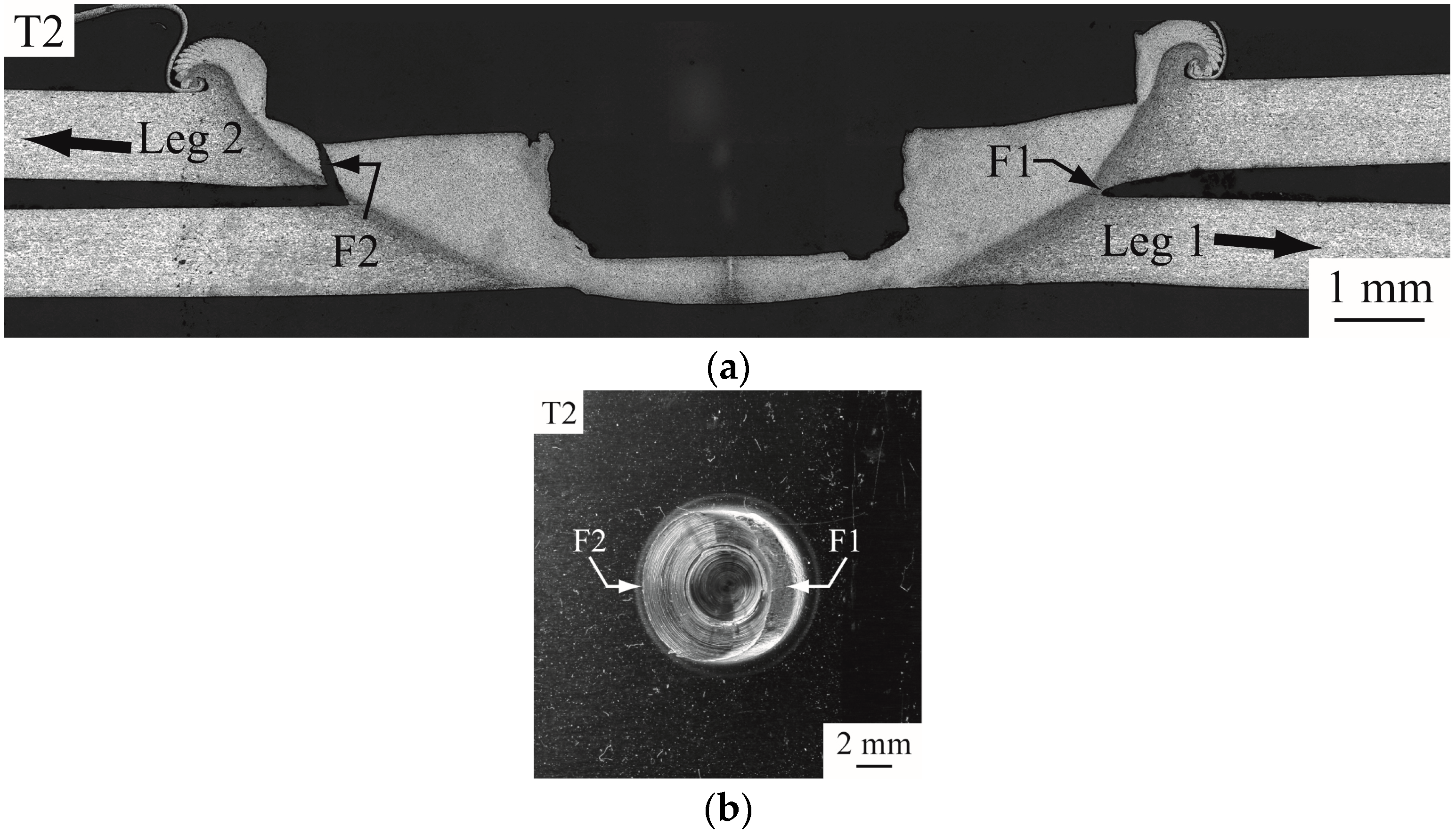 Materials 09 00677 g009