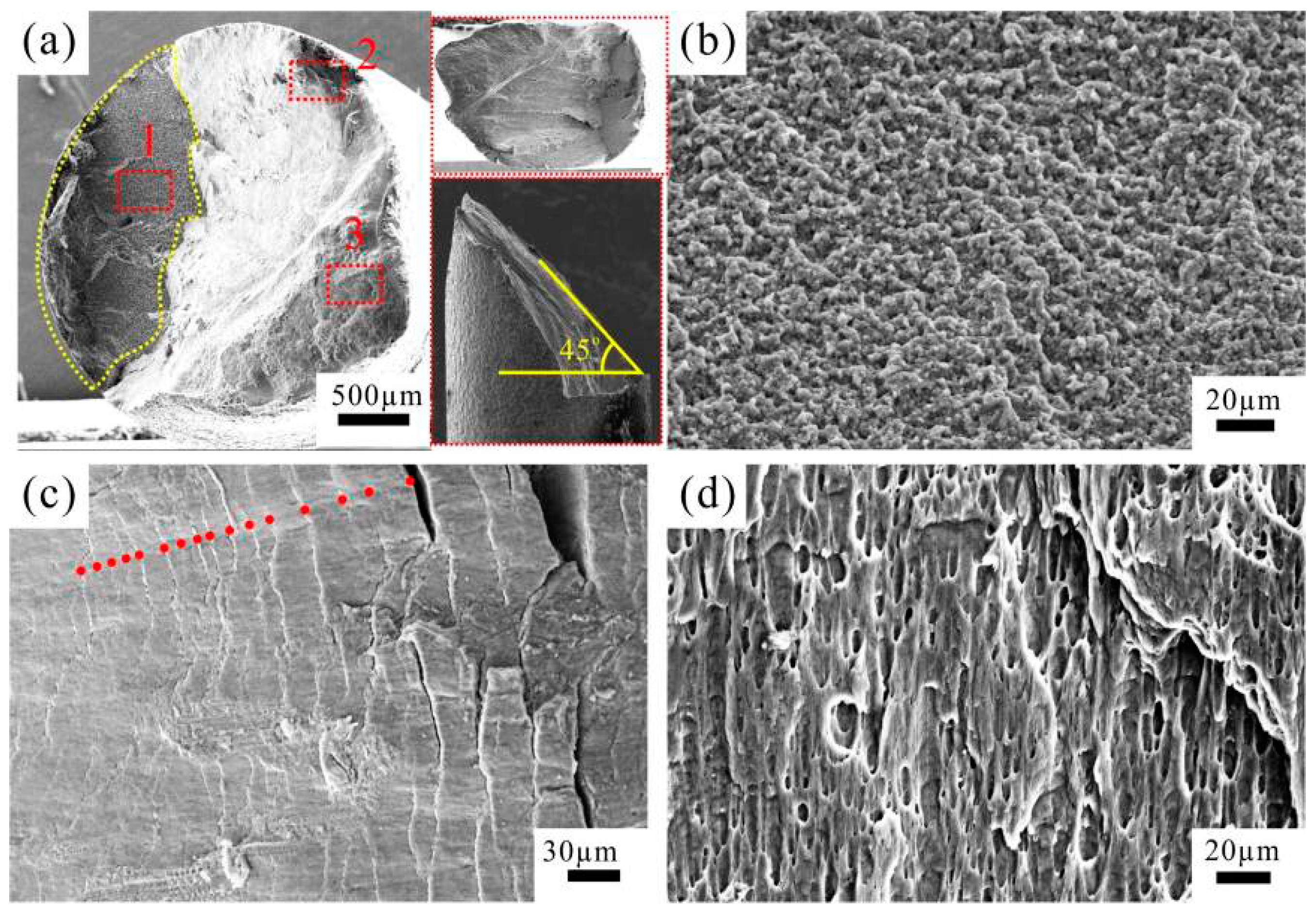 Materials 09 00764 g005