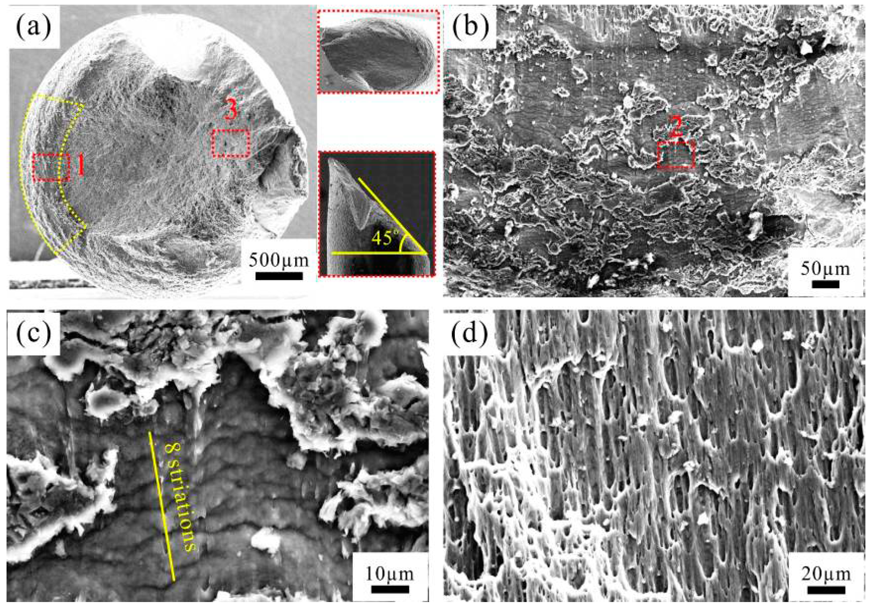 Materials 09 00764 g008