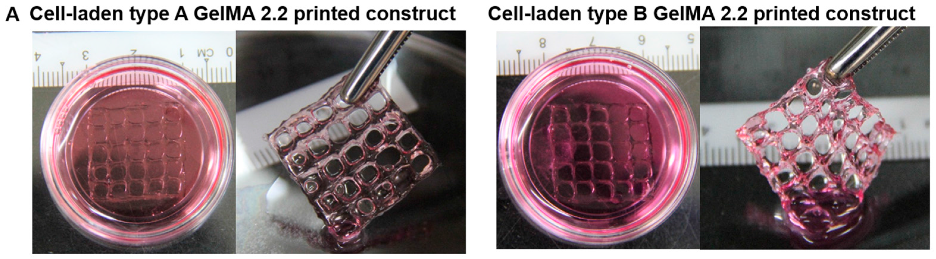 Materials 09 00797 g009a