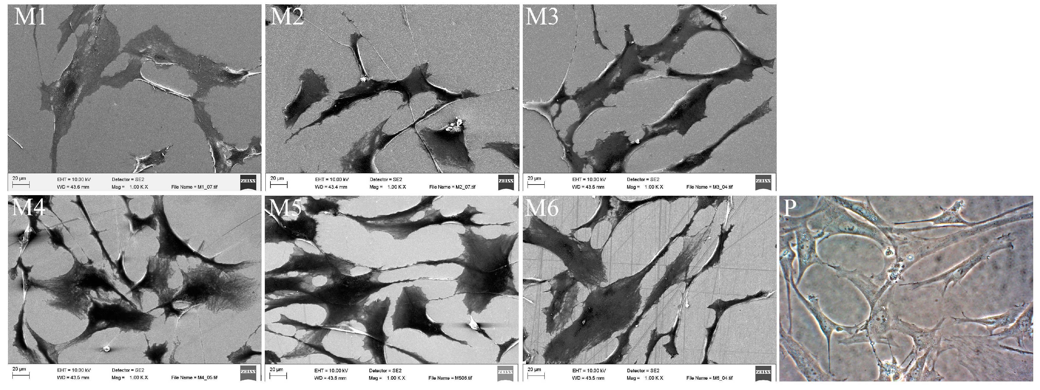 Materials 09 00827 g003