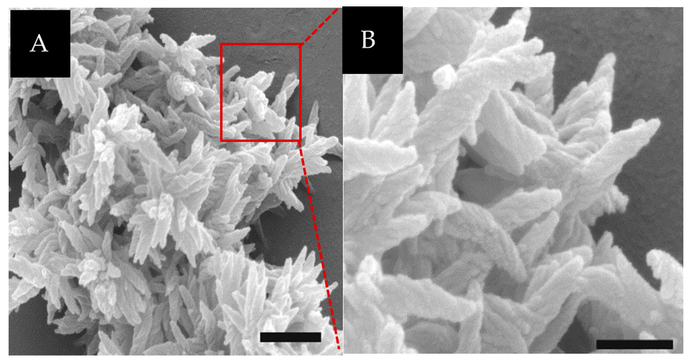 Materials 09 00838 g003