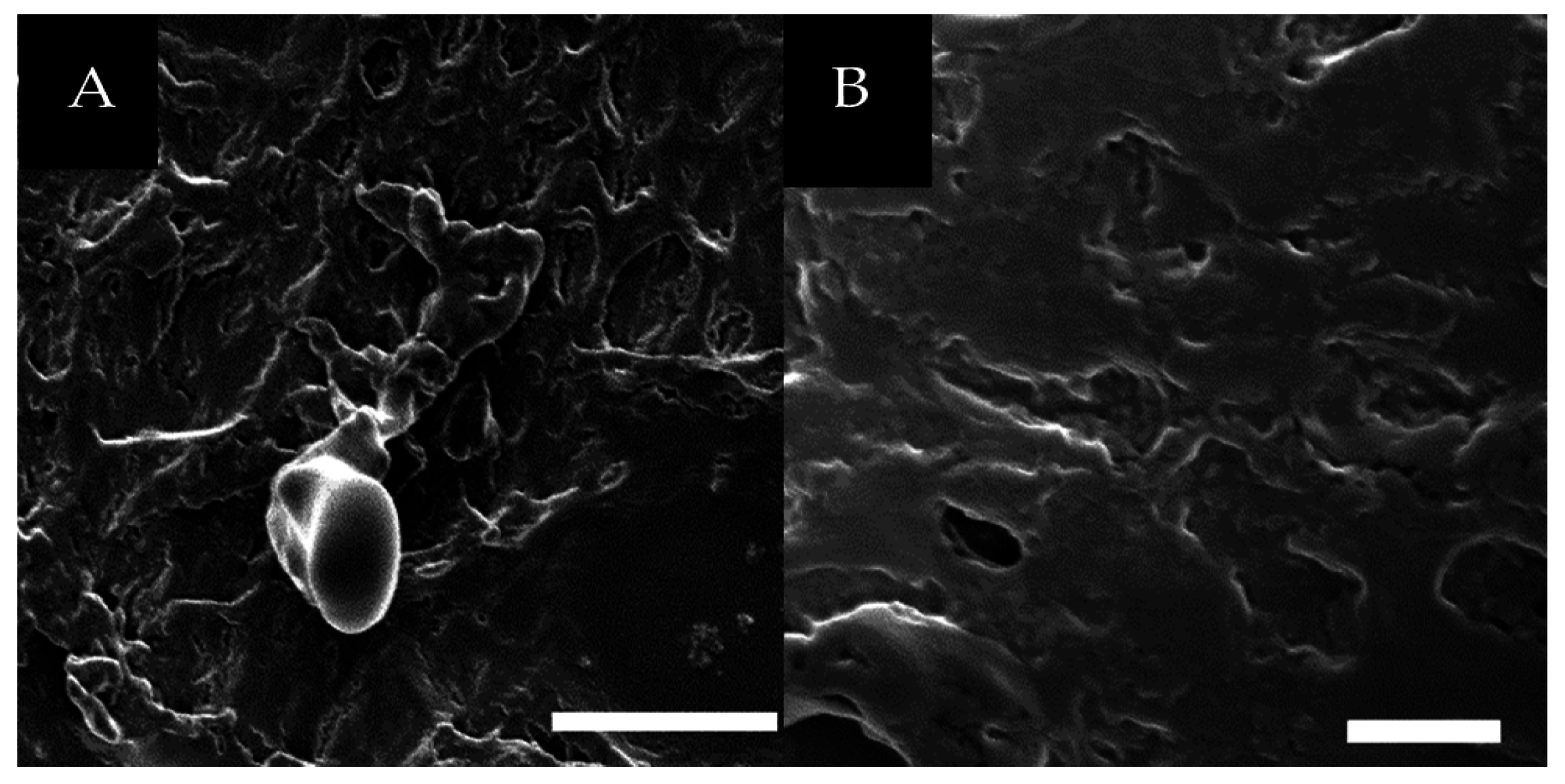 Materials 09 00838 g005